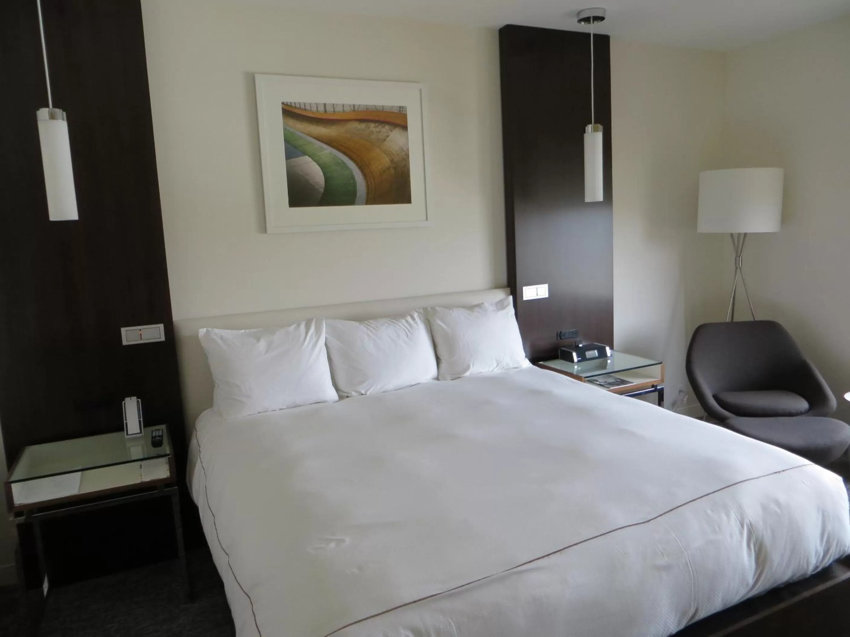 One Bedroom Residence King Studio in The Alexander