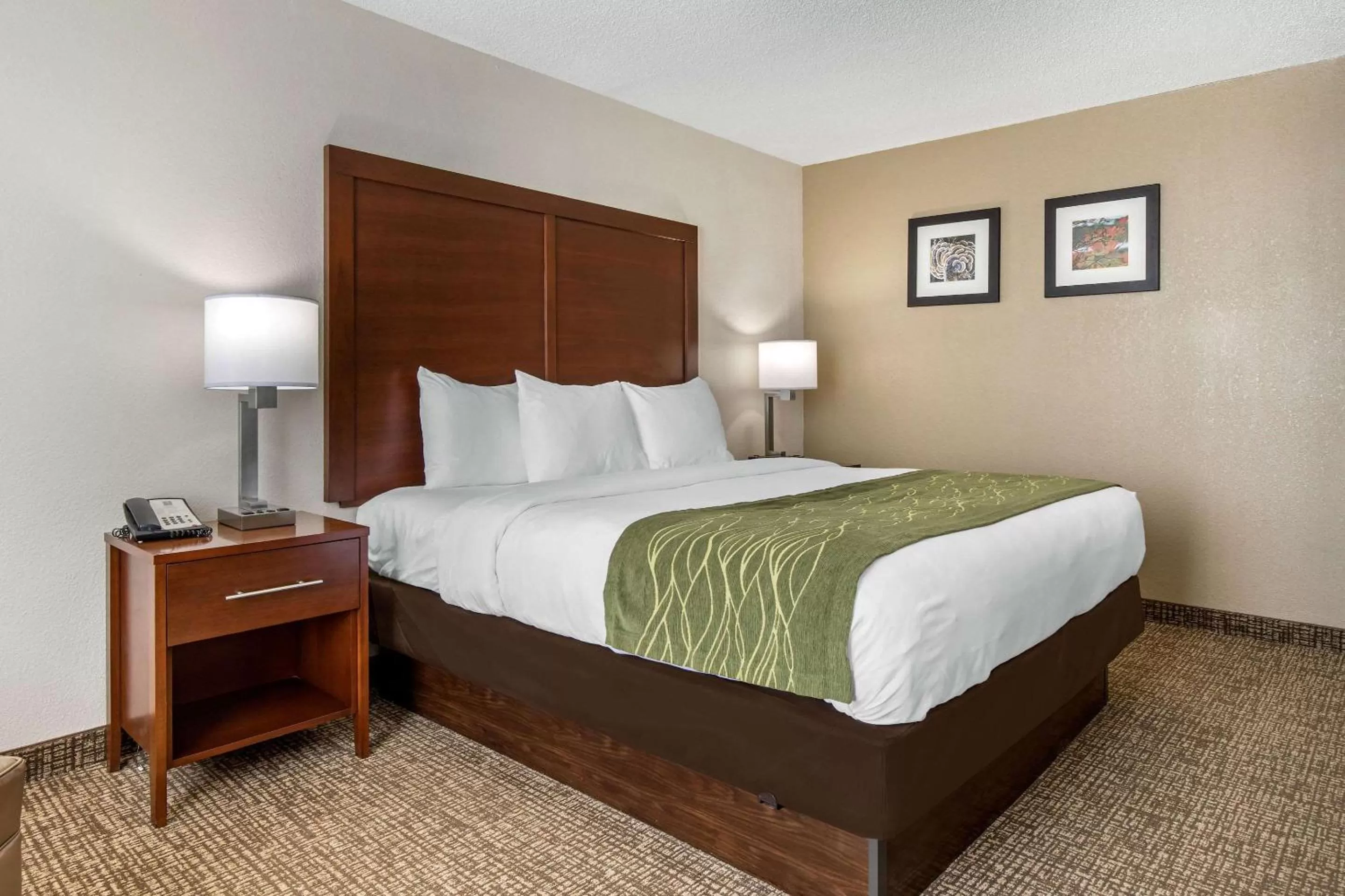 King Room - Accessible/Non-Smoking in Comfort Inn Shelby