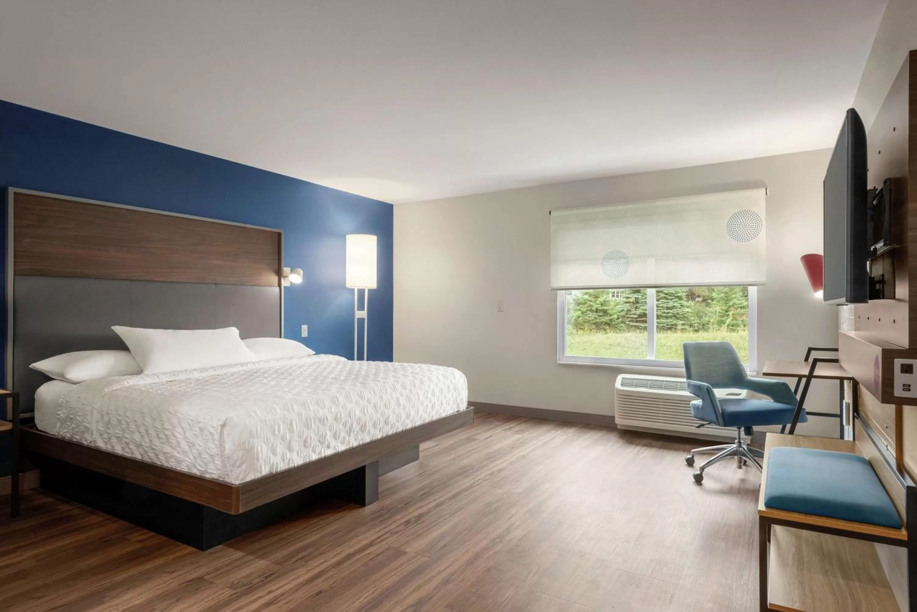 King Room - Mobility Access in Tru By Hilton Duluth Mall Area