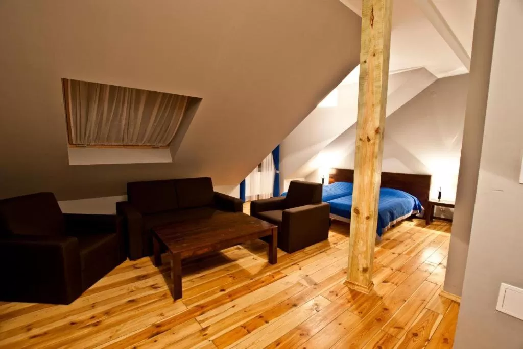 Large Double Room in Dom Pracy Twórczej