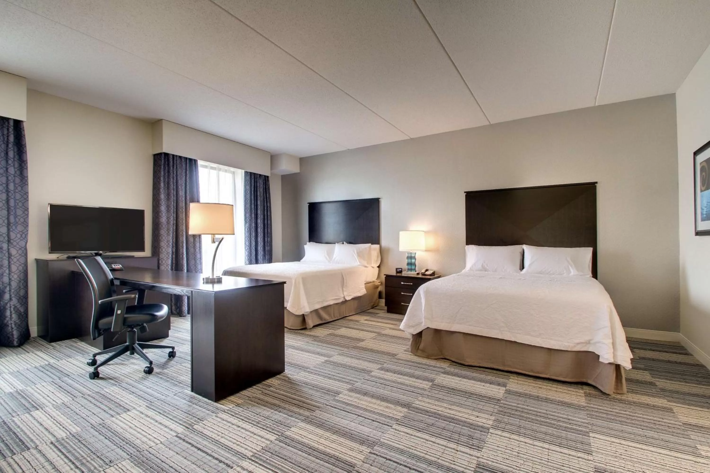 Queen Studio Suite with Two Queen Beds - Non-Smoking in Hampton Inn & Suites Greenville Airport