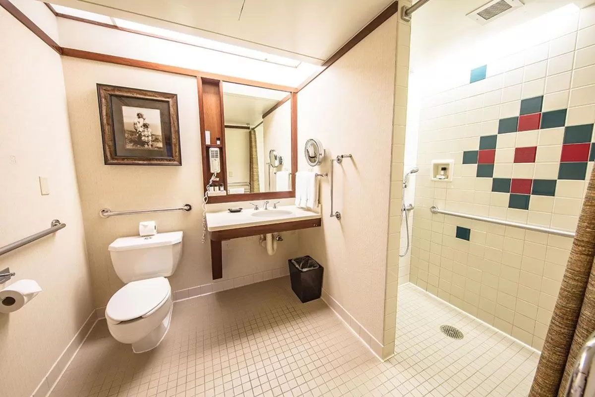 Double Room - Disability Access in Alyeska Resort