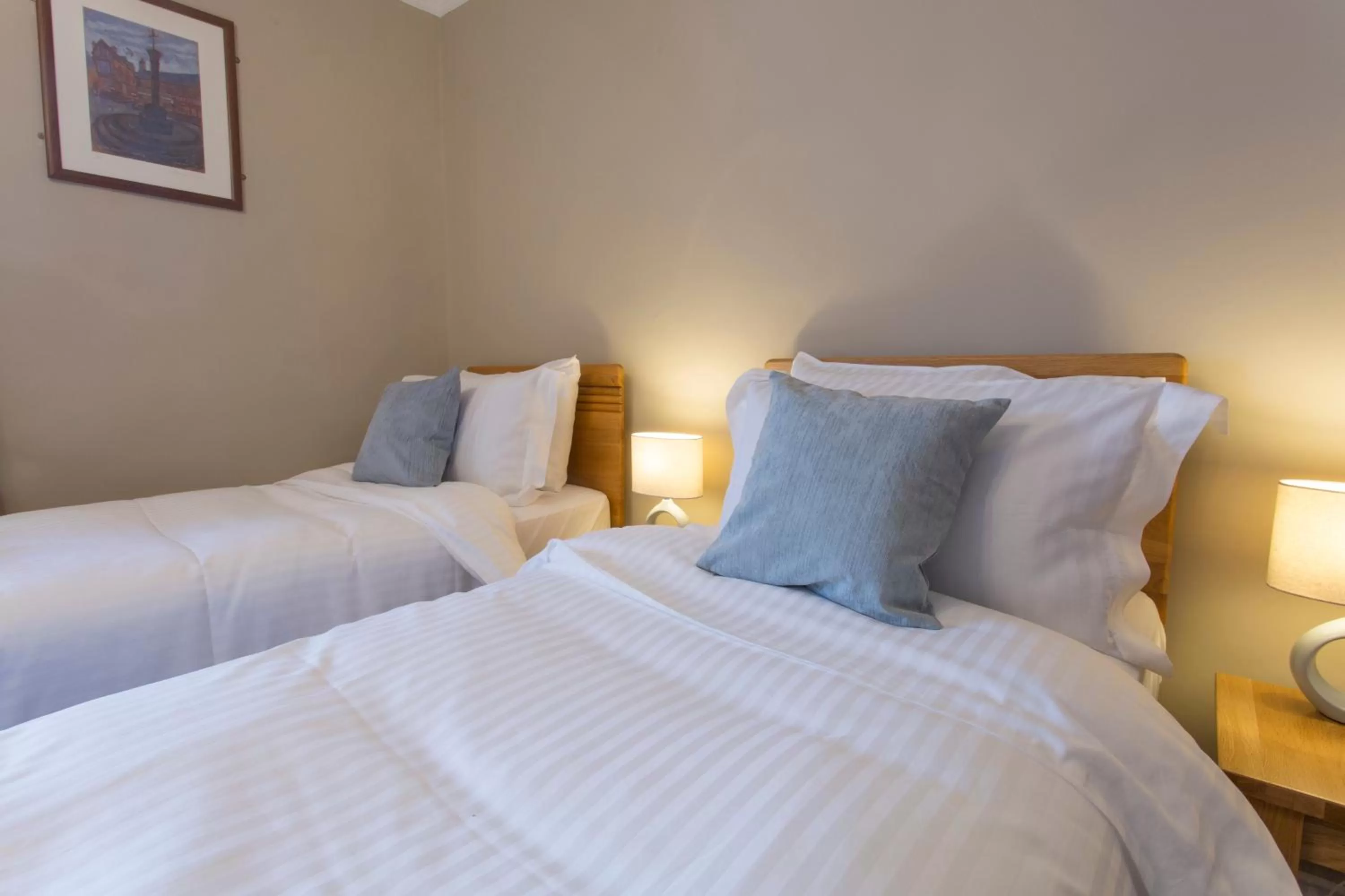 Twin Room with Shower in The Wheatsheaf Hotel