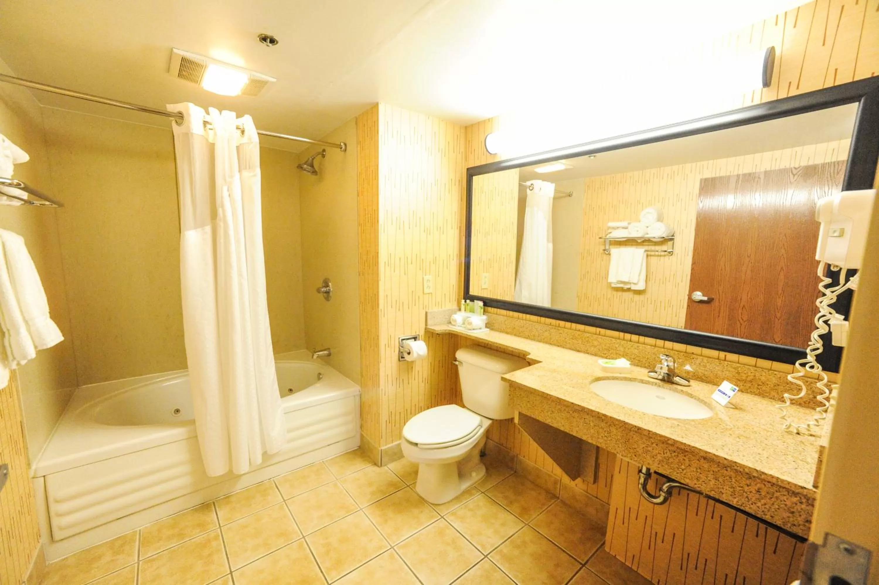 Suite with Mobility Accessible Tub - Non- Smoking in Holiday Inn Express Hotel & Suites Bowling Green, an IHG Hotel
