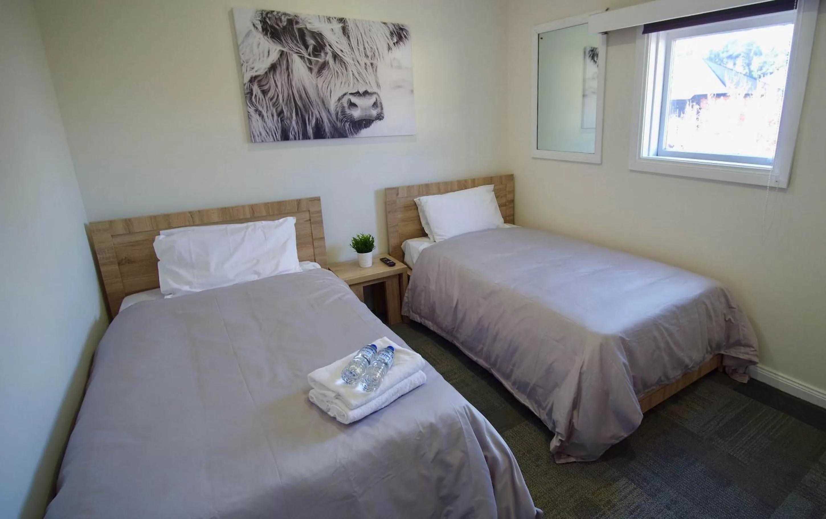 Twin Room with Shared Bathroom in Argyle Hotel Southern Highlands