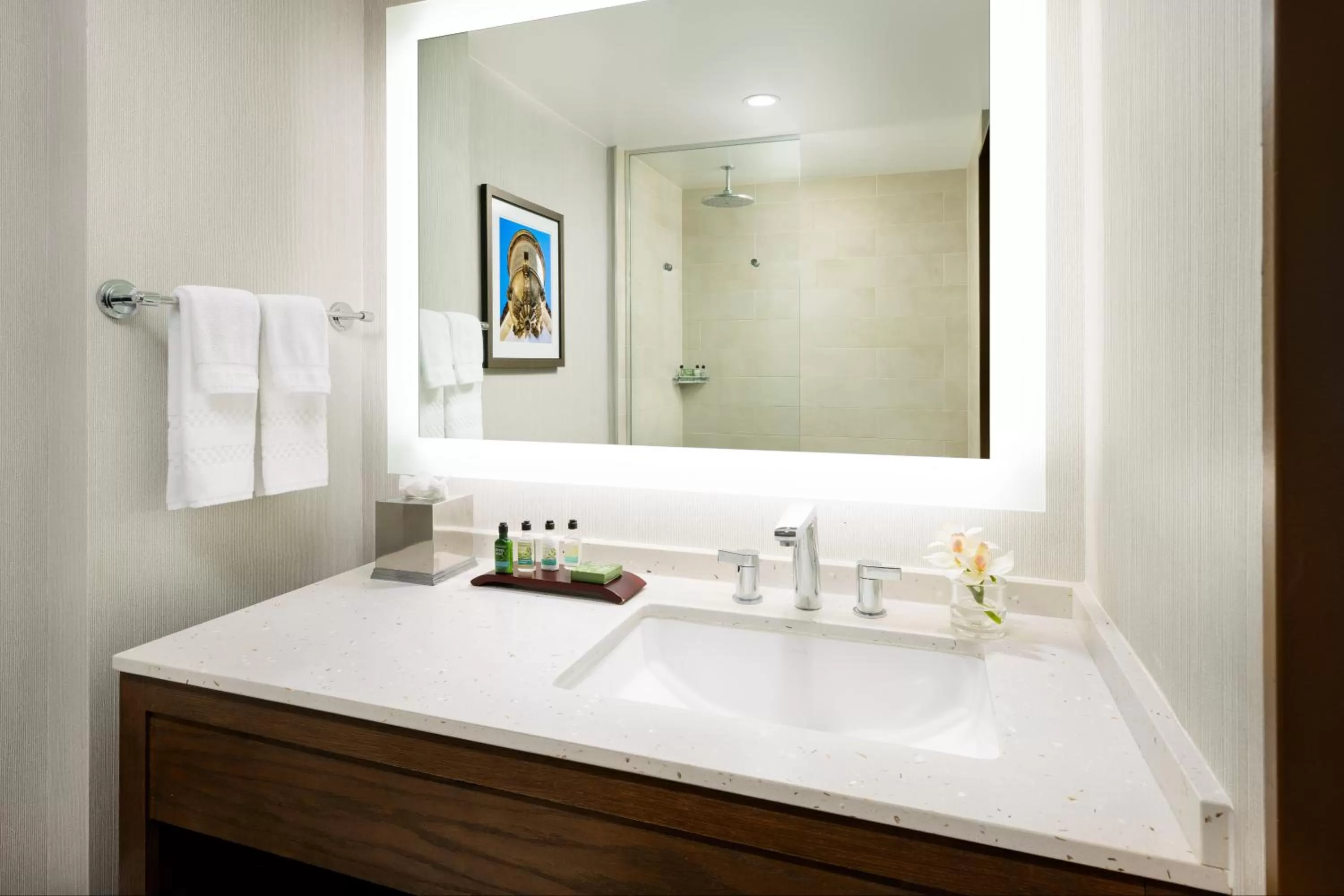 King Premium  in The Anza-a Calabasas Hotel