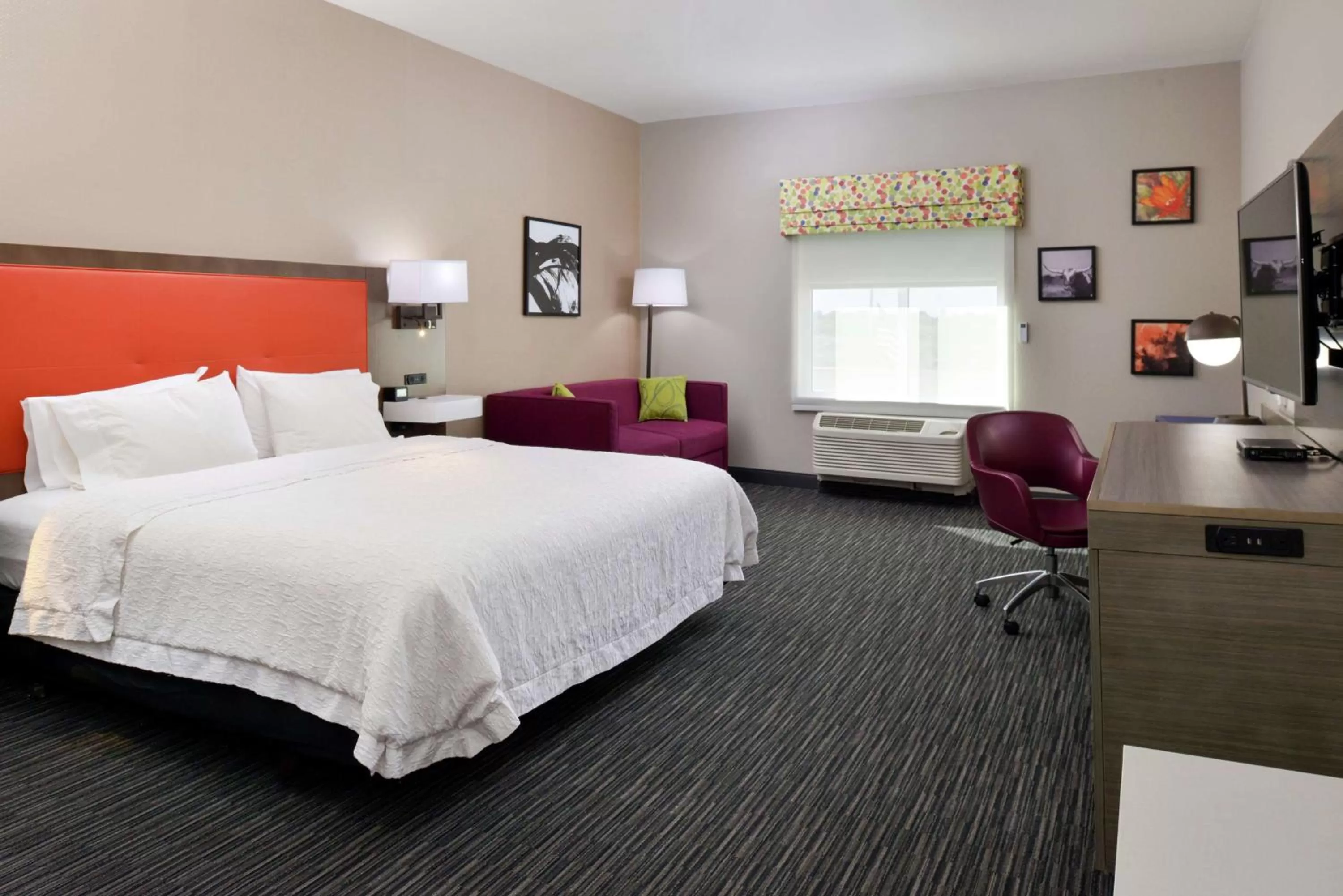 King Room - Mobility Access/Non-Smoking in Hampton Inn Fort Stockton