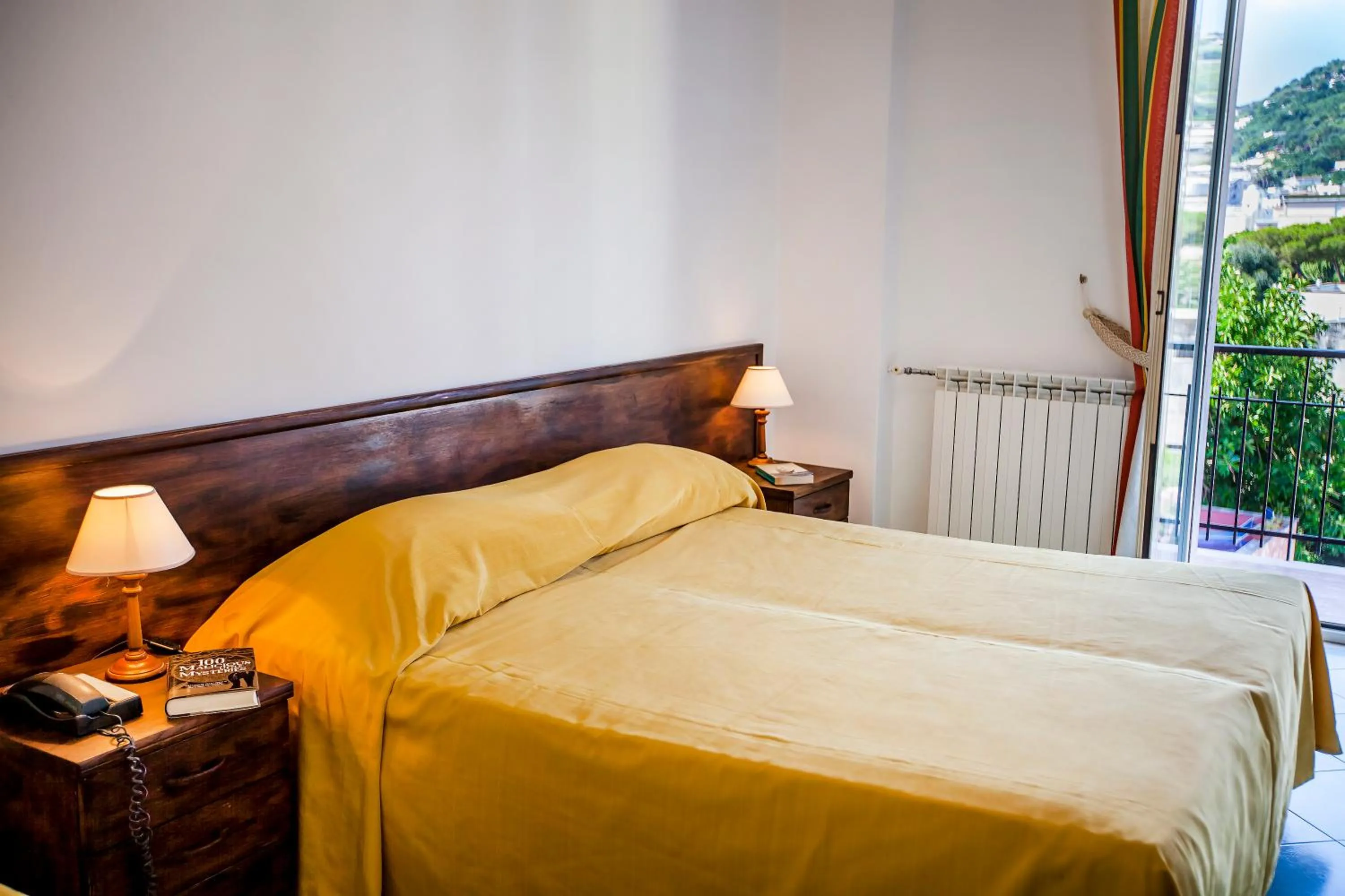 Double Room in Hotel Conte