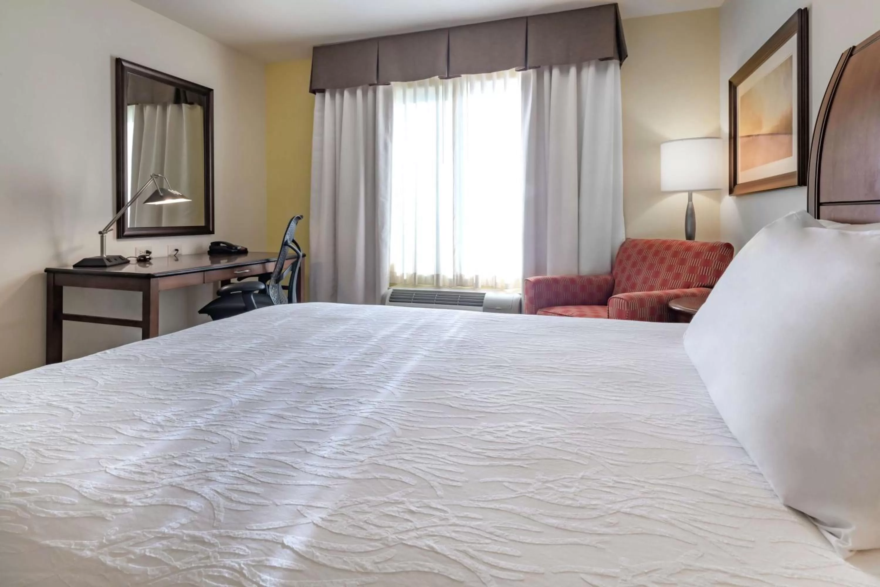 King Suite - Disability Access Hearing Accessible Roll-In Shower in Hilton Garden Inn Devens Common