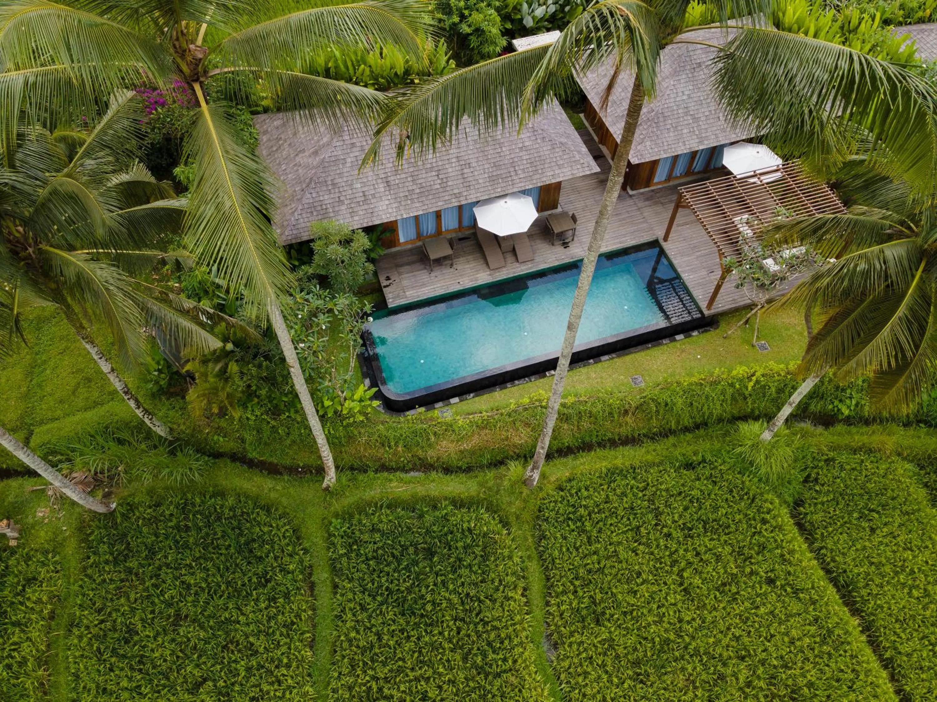 Two-Bedroom Villa with Private Pool and Daily Scheduled Activities in Kappa Senses Ubud