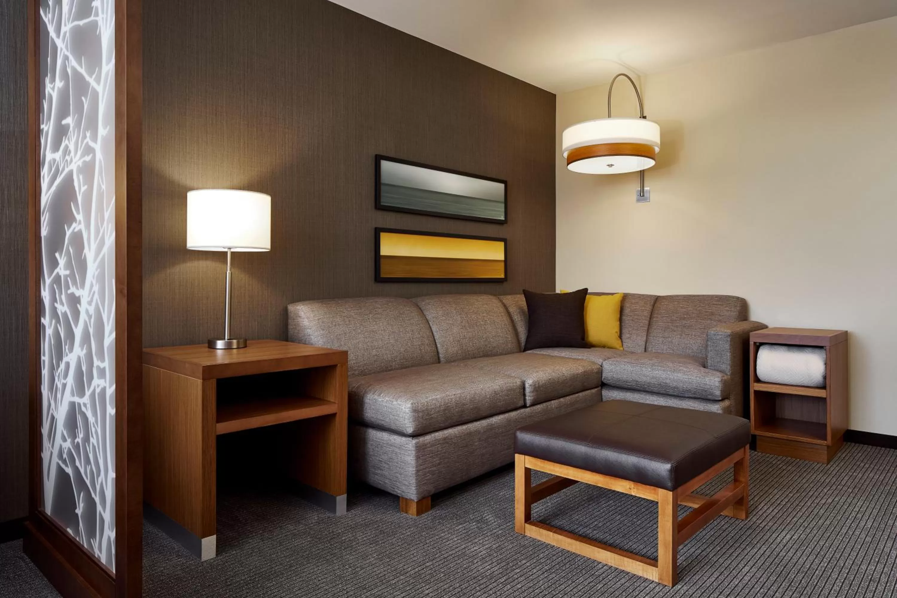 King Room with Sofa Bed in Hyatt Place Wilmington Riverfront