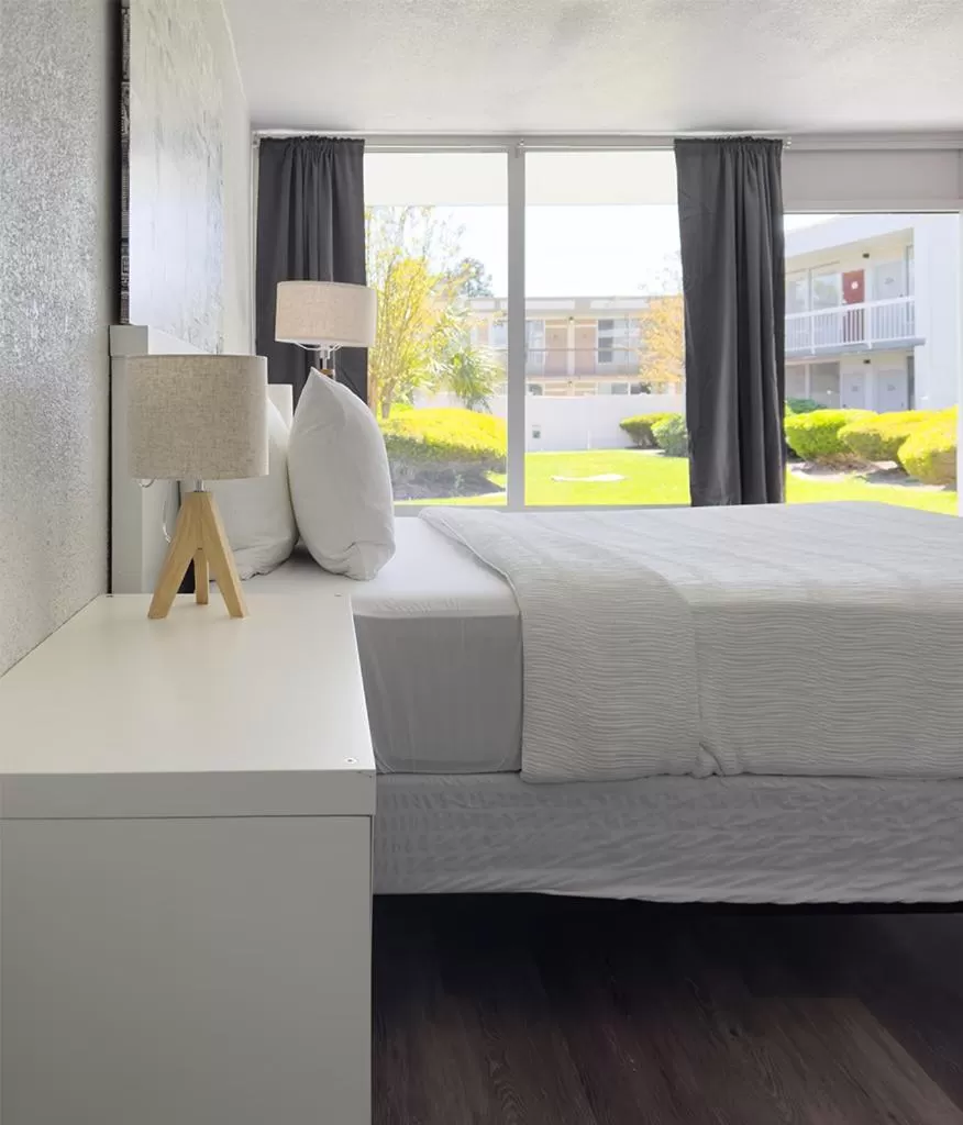 Standard Queen Room in Oneway Savannah