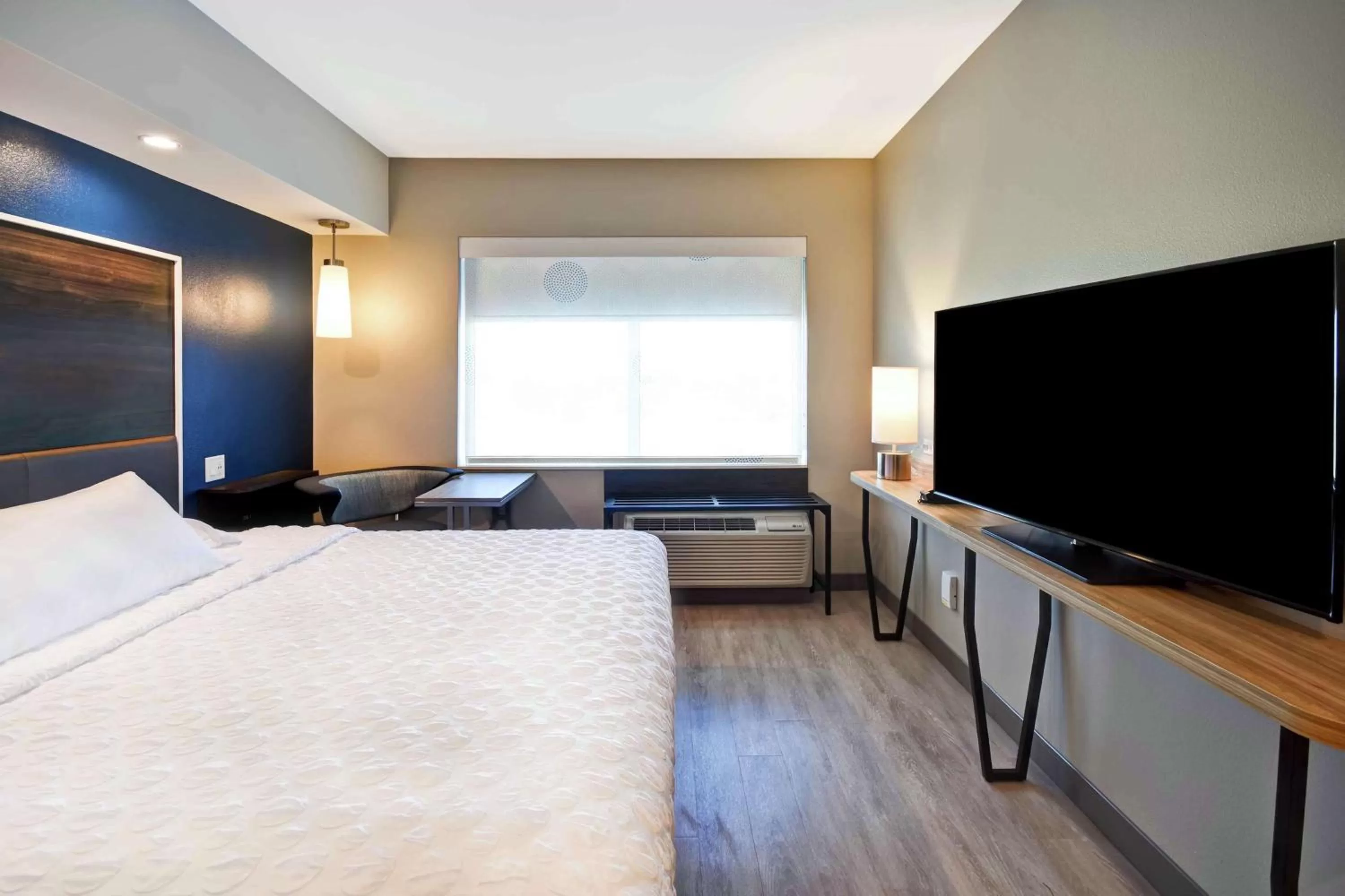 King Room in Tru By Hilton North Platte