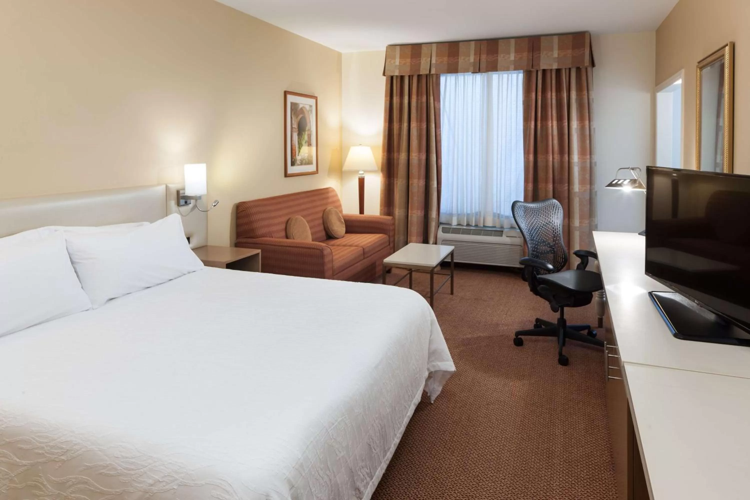 Superior King Room in Hilton Garden Inn McAllen Airport