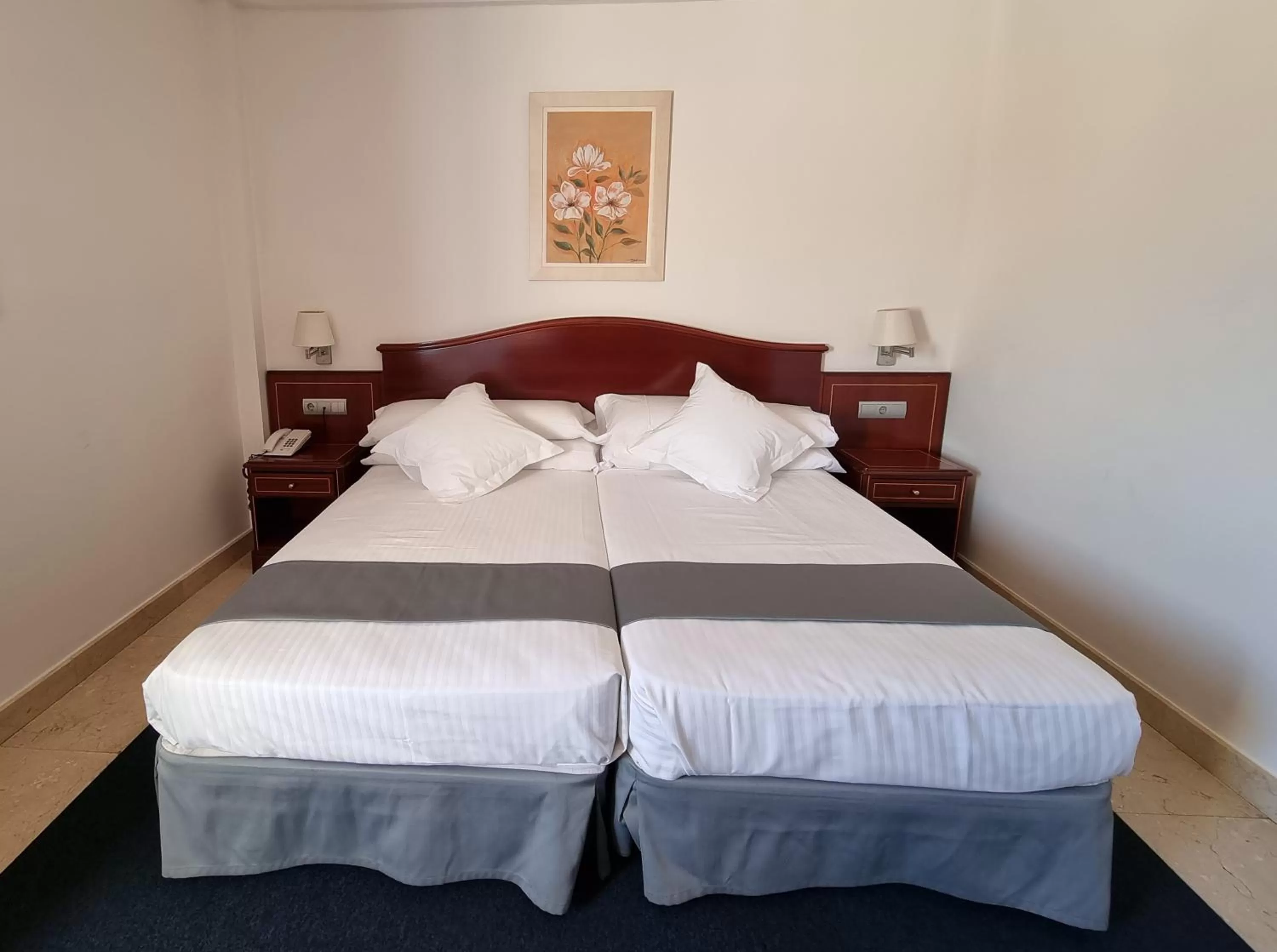 Double or Twin Room in Hotel Gran Legazpi