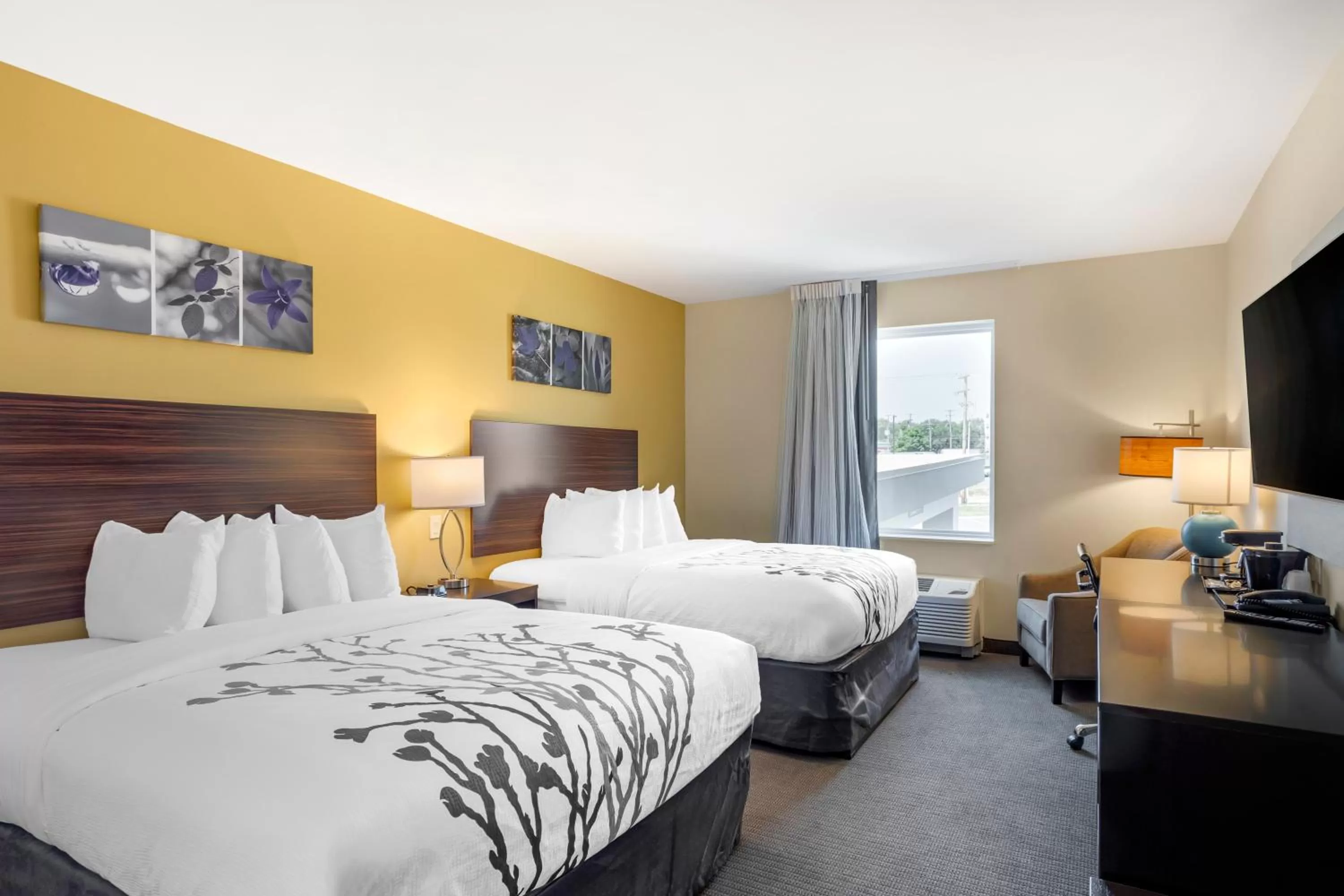 Quadruple Room with Two Queen Beds - Non Smoking in Sleep Inn North - Central York