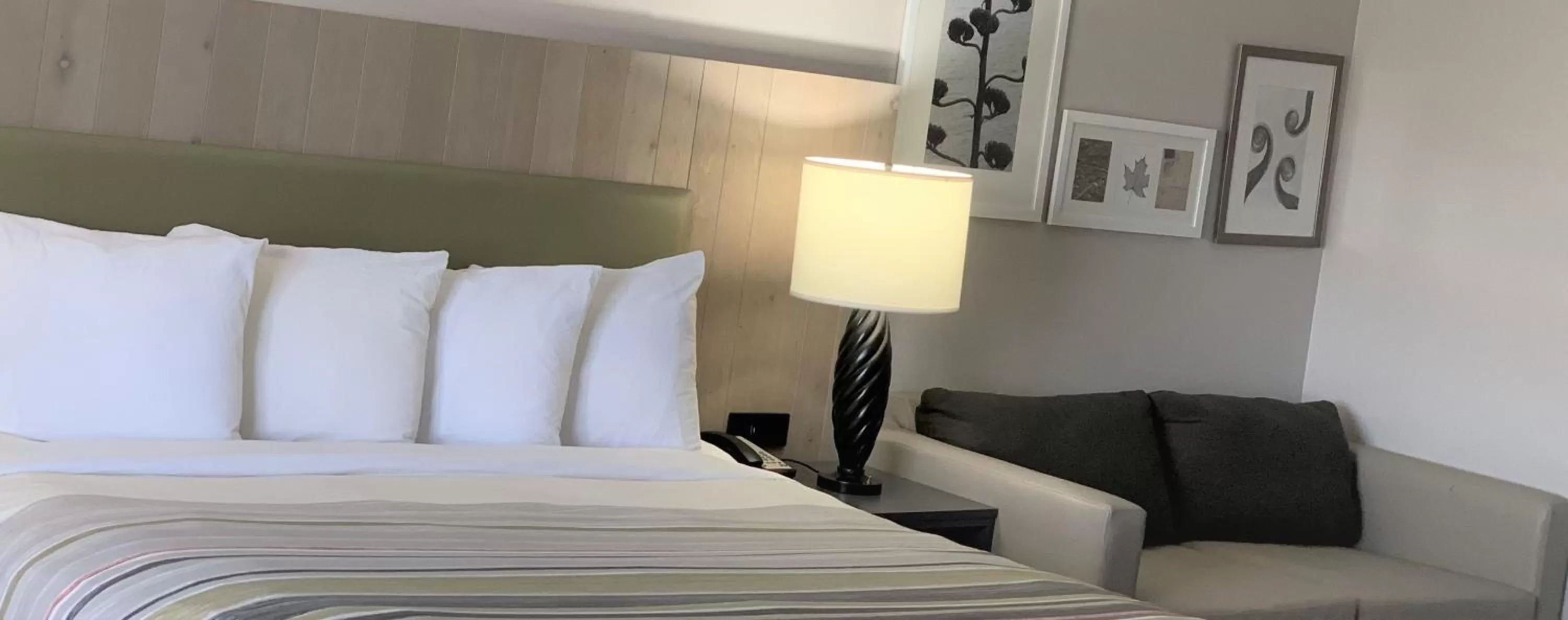 King Studio Suite with Sofa-Bed - Non-Smoking in Country Inn & Suites by Radisson, Clarksville, TN