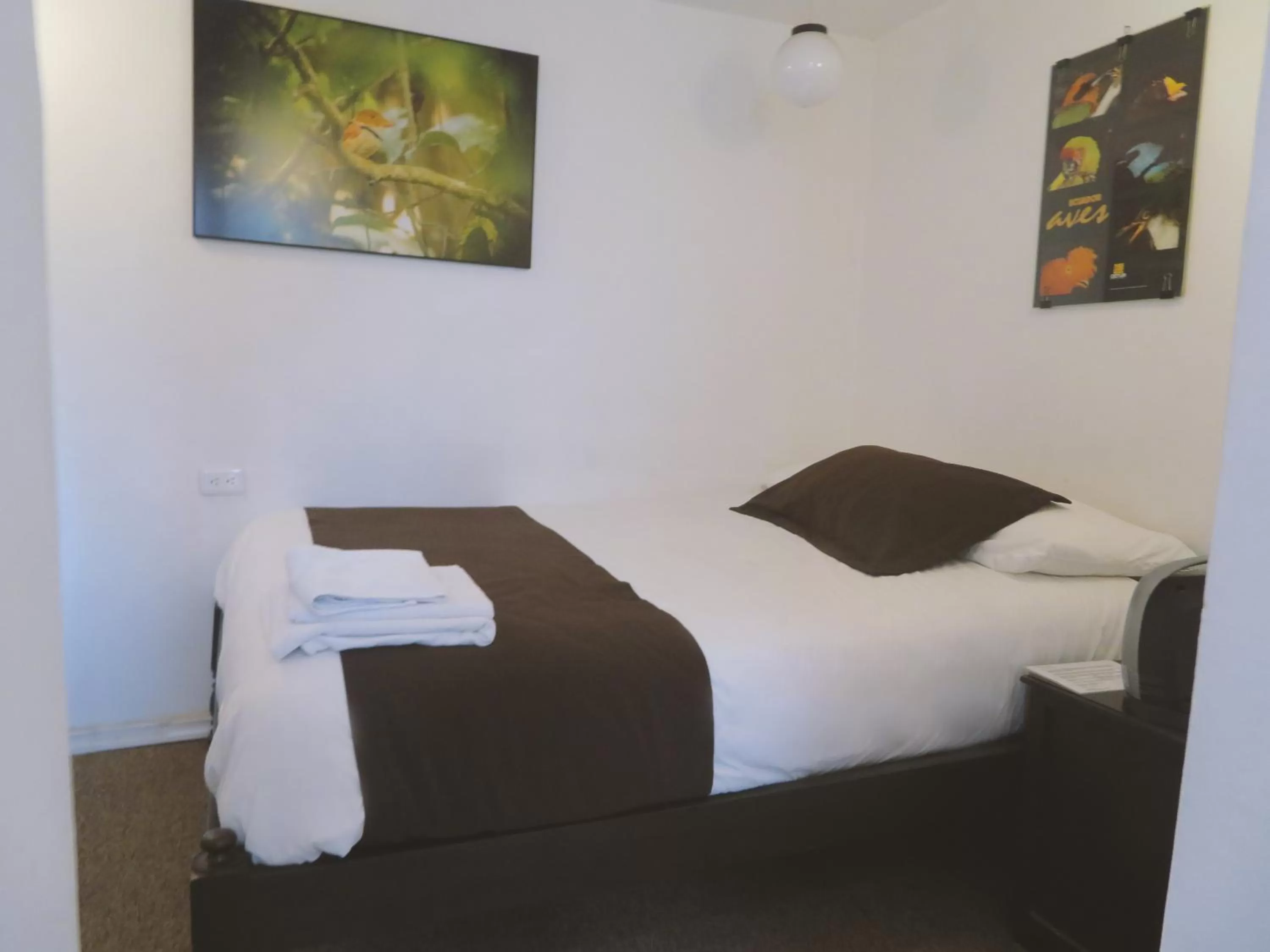 Single Room in Bird Garden Guest House