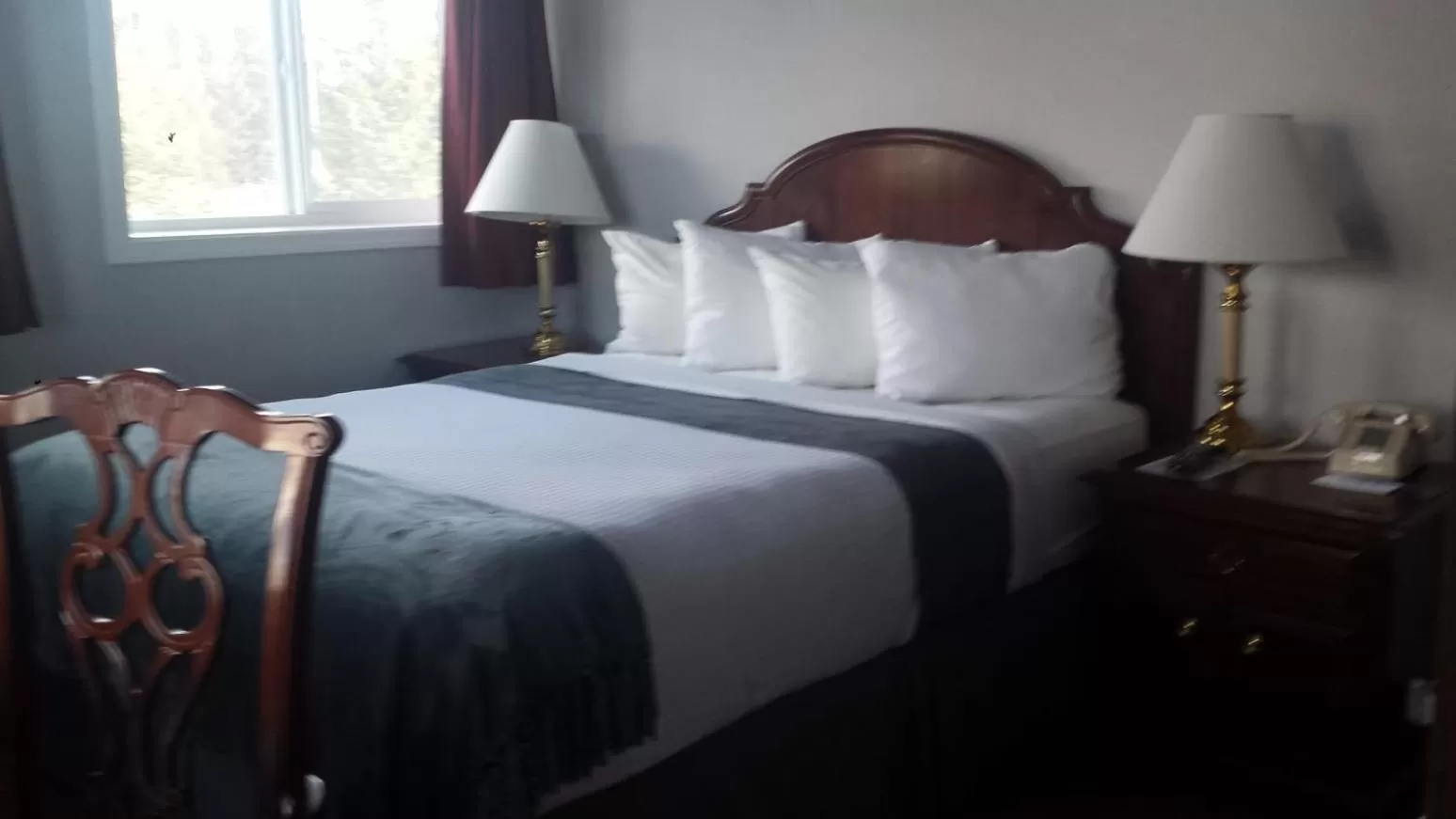 Queen Room in Beluga Lake Lodge