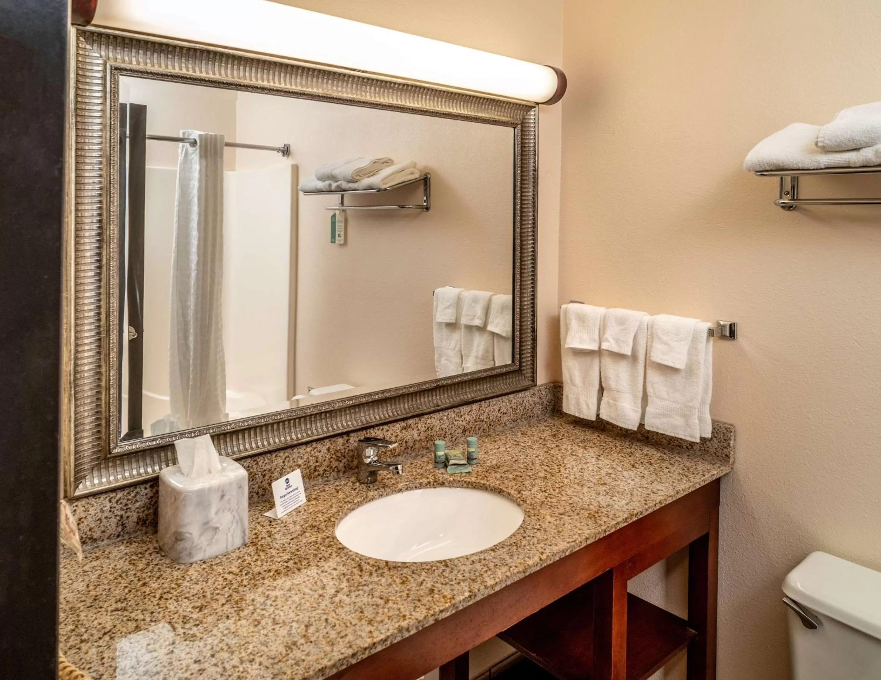 Executive King Room - Smoking in Rodeway Inn