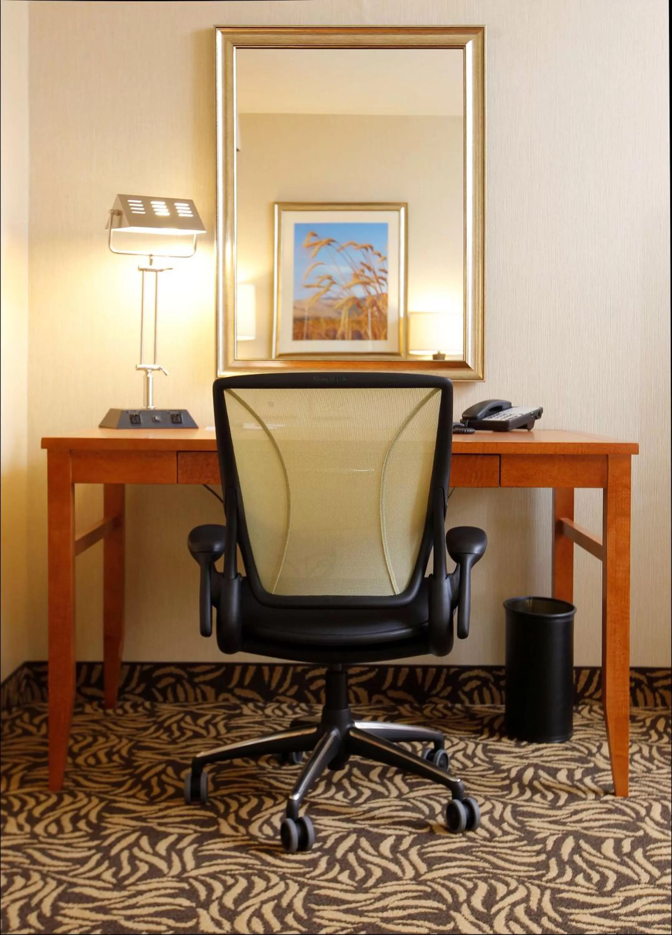 King Room with Tub - Mobility and Hearing Access in Hilton Garden Inn Cedar Falls Conference Center