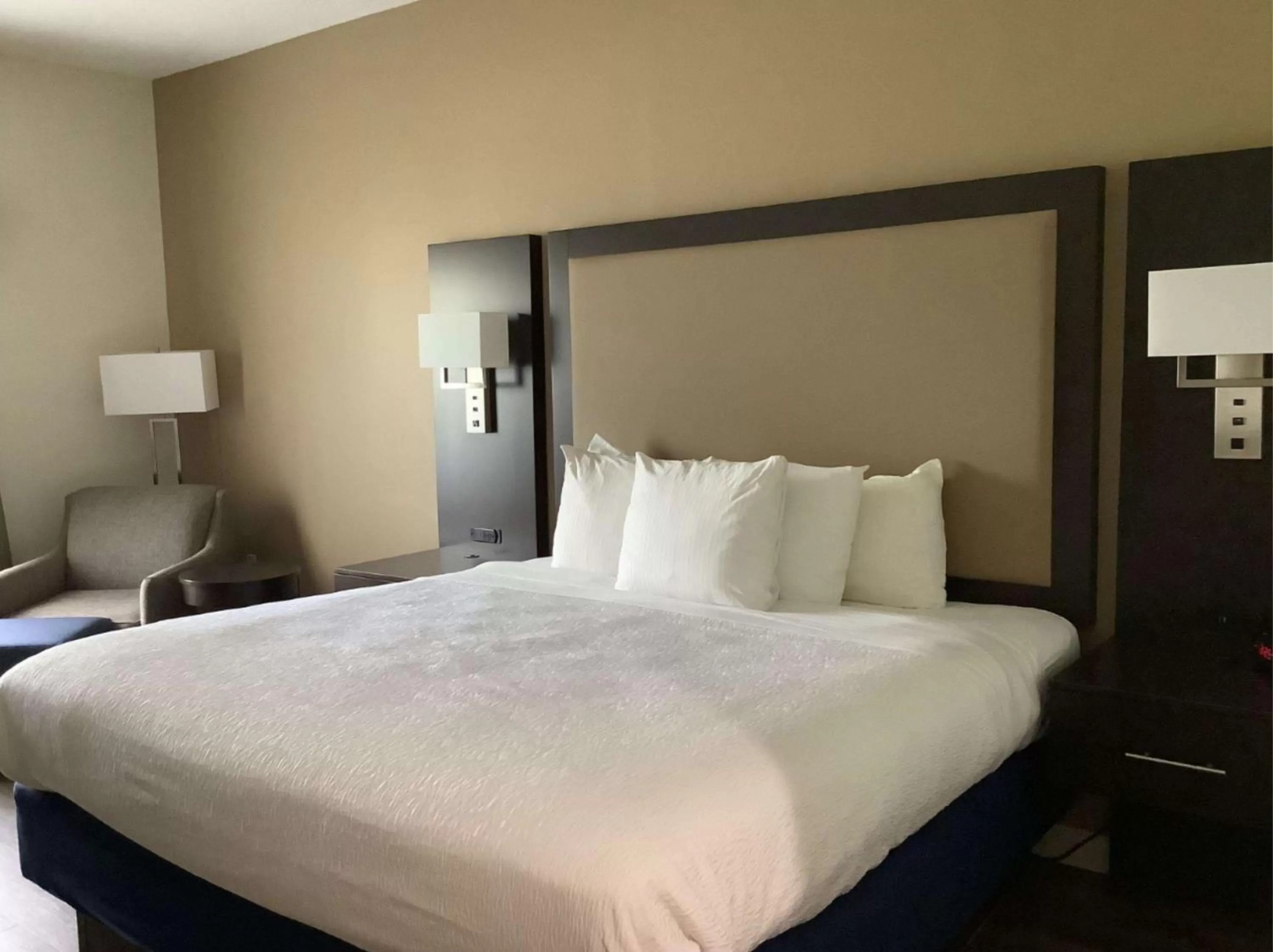 King Room with Roll - In Shower - Disability Access in Best Western Plus Madison