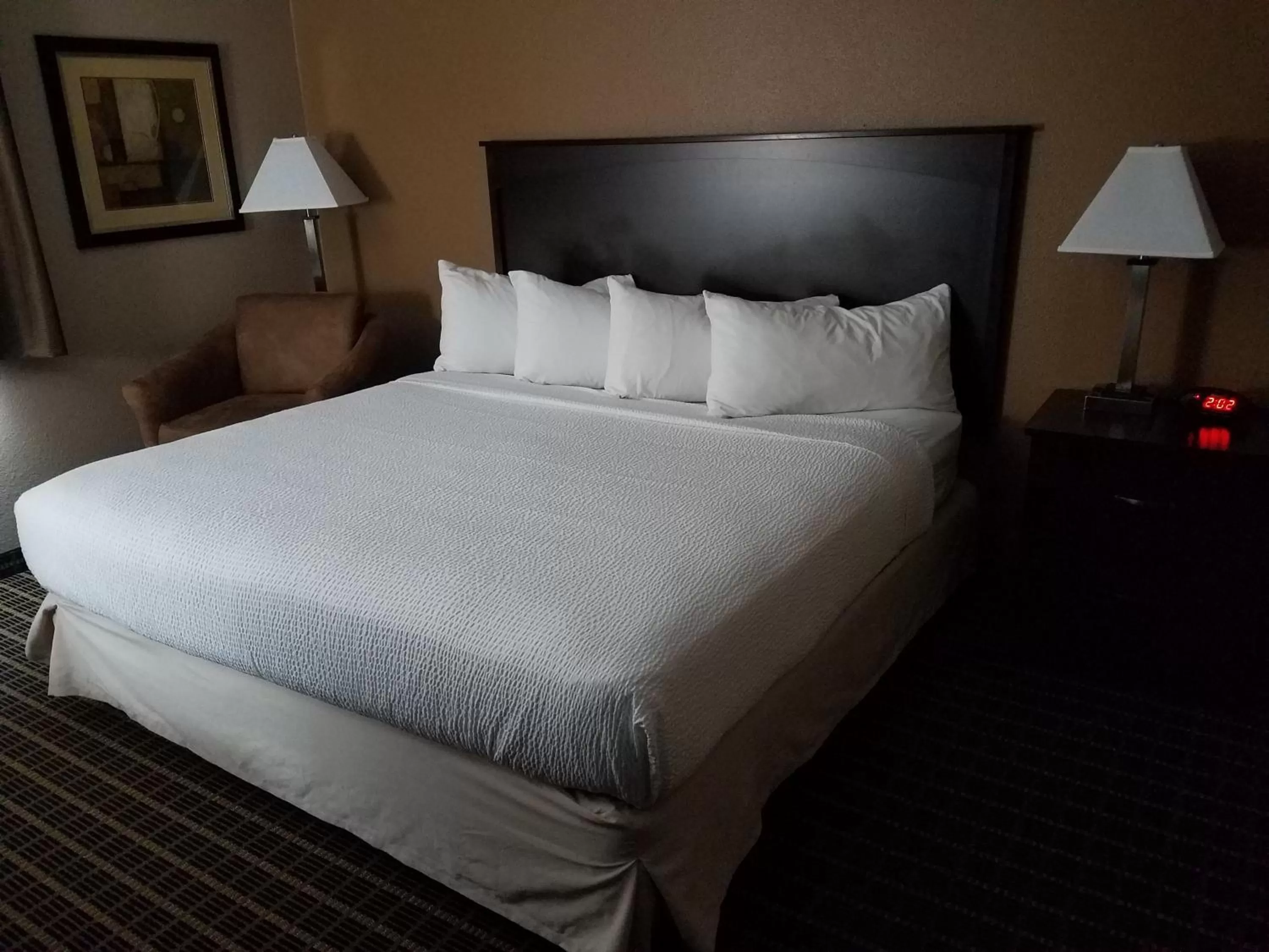 One King Bed Executive Non-Smoking in Americas Best Value Inn and Suites Bismarck