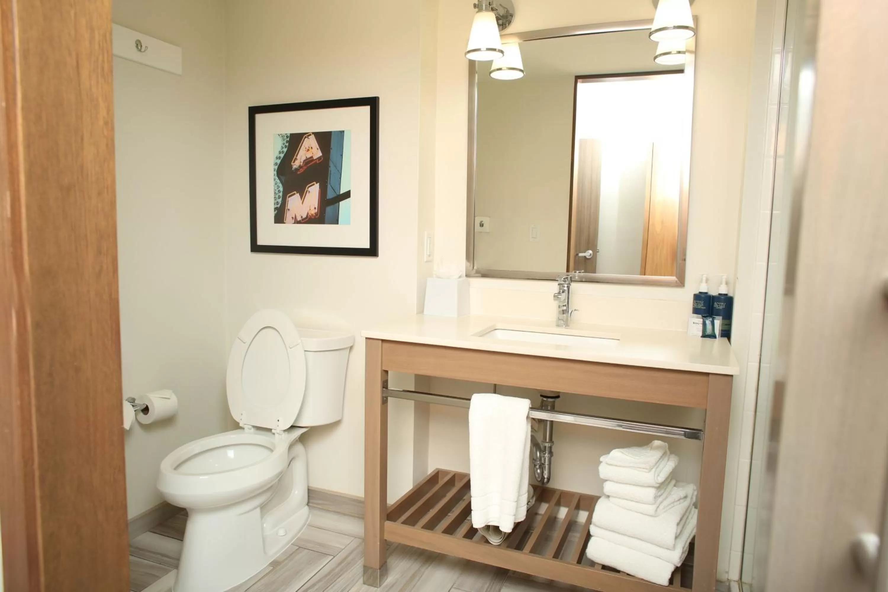 Queen Room in Four Points by Sheraton Midland