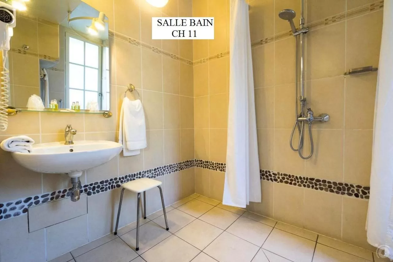 Double Room - Disability Access in Hotel Restaurant Bellevue