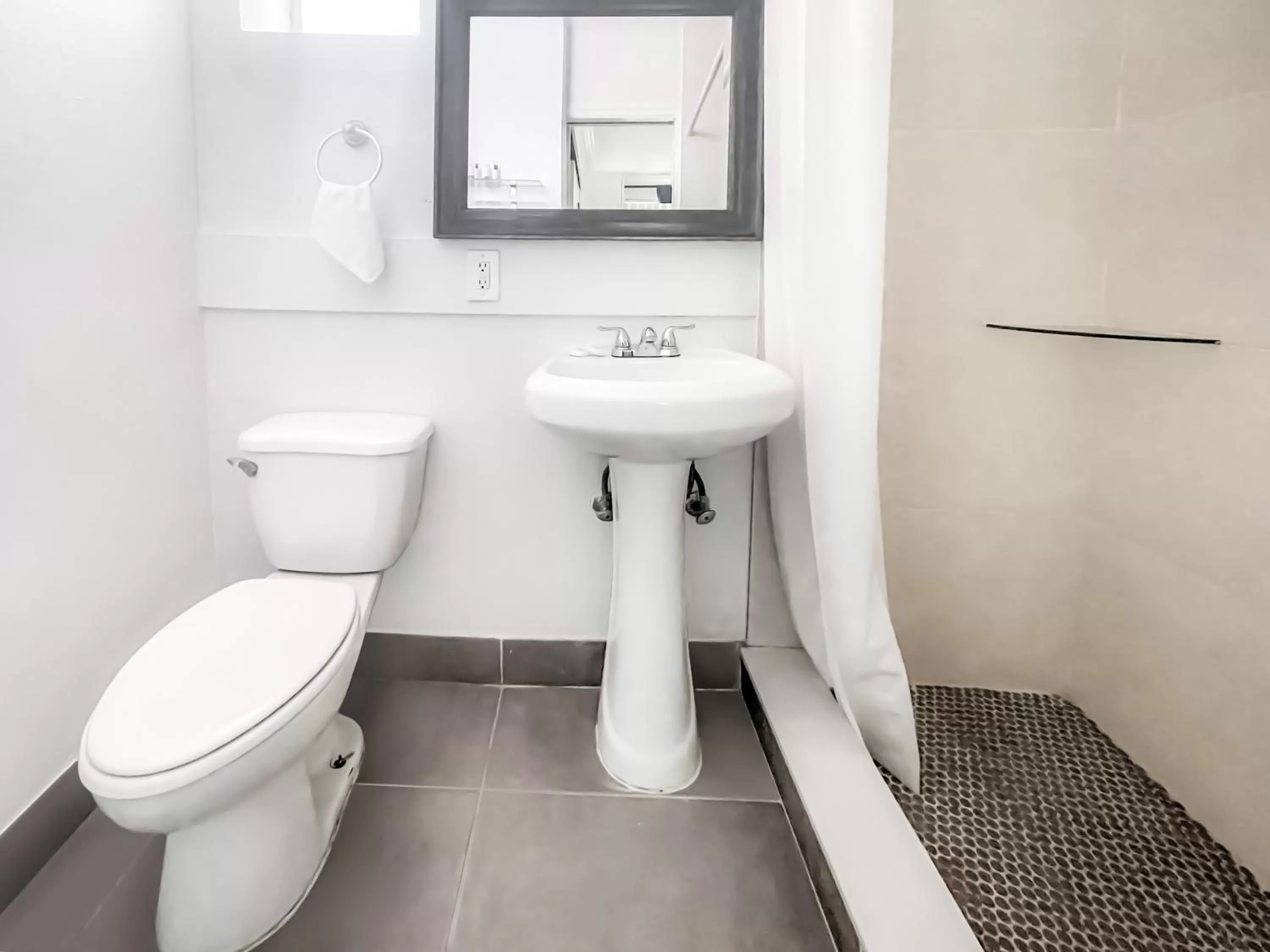 Junior Suite in The Seagull