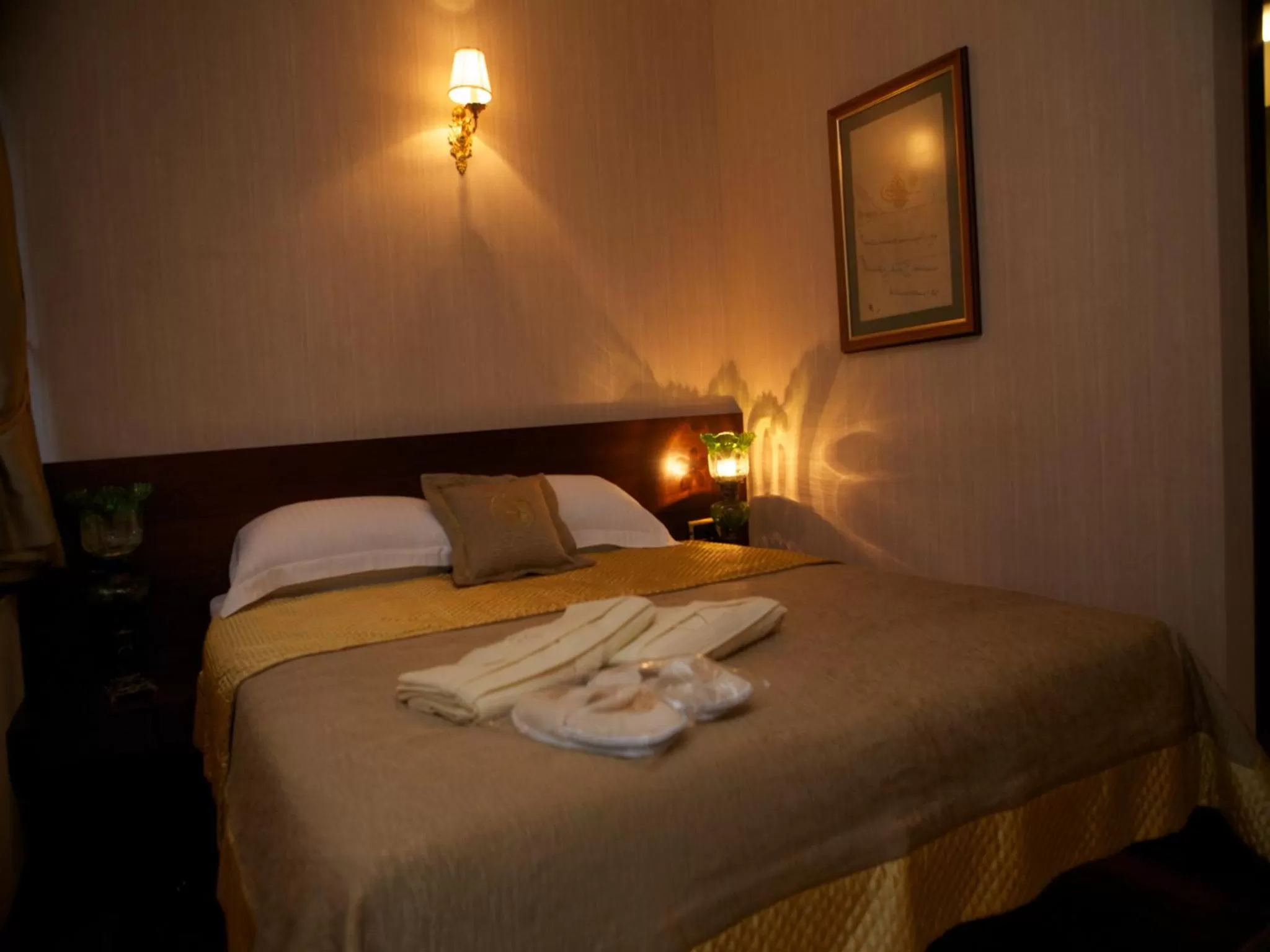 Economy Double Room in Burckin Hotel