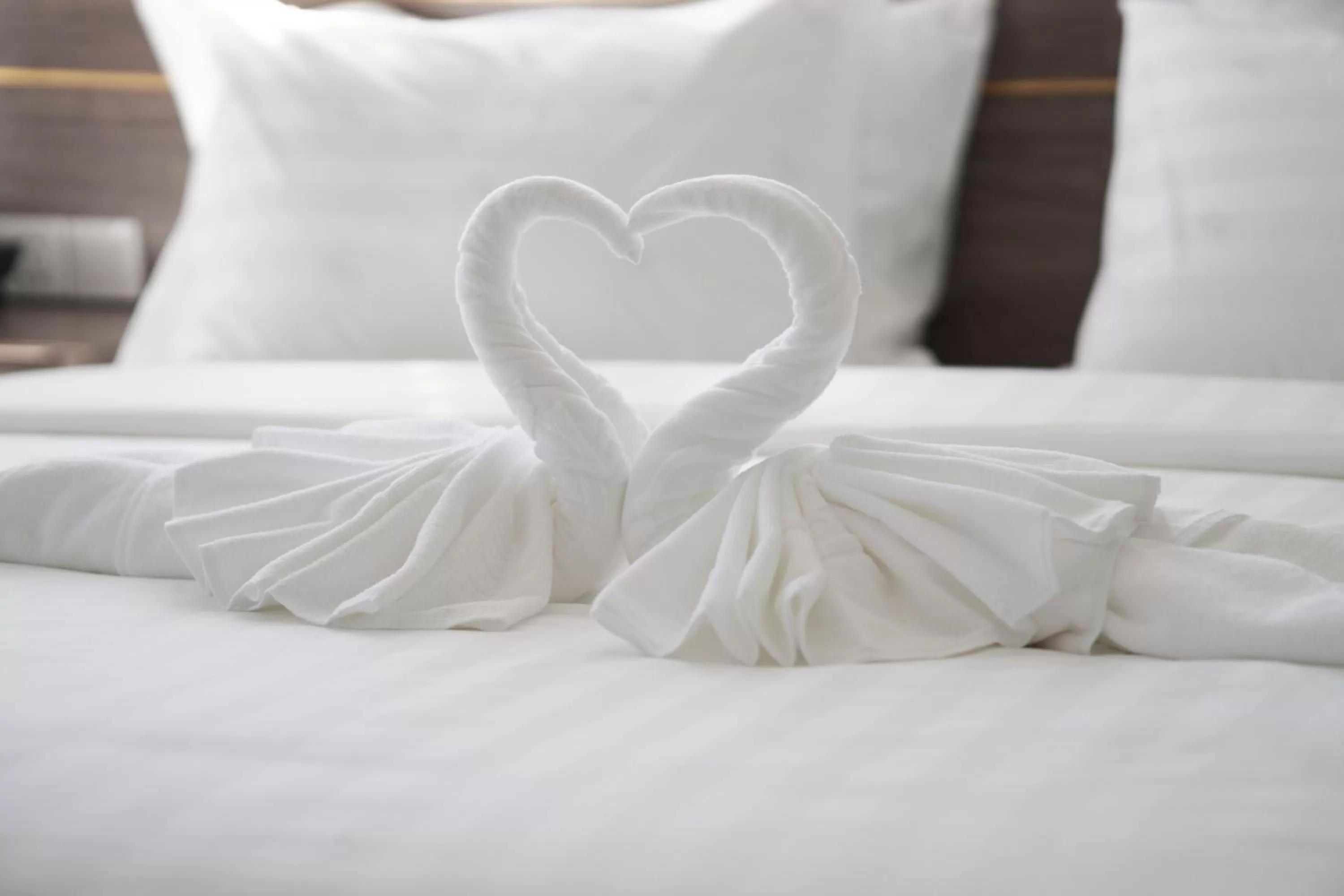 Standard Double Room - No Window in Apple Hotel Three - Phnom Penh