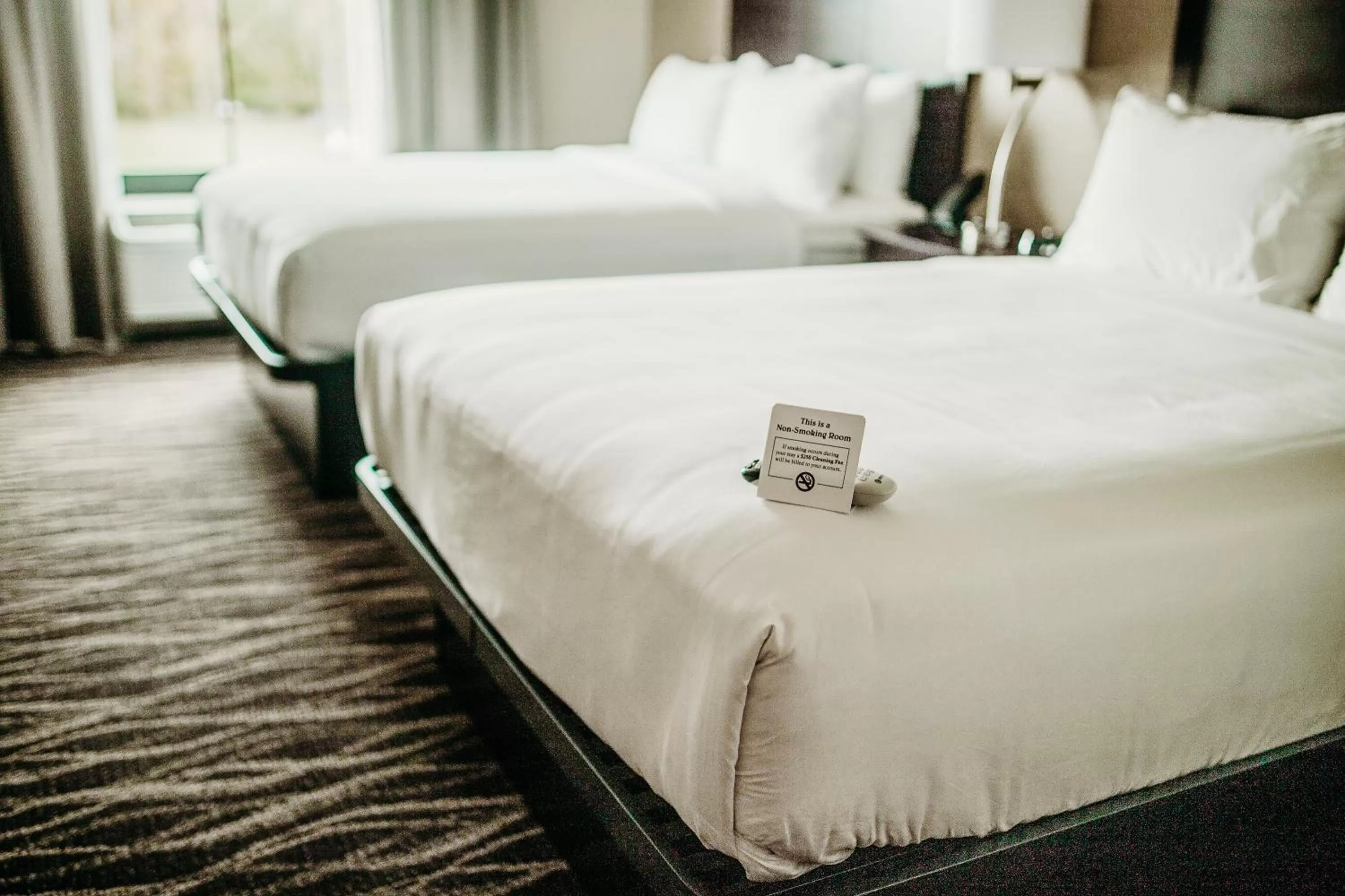 Queen Studio in Cobblestone Hotel & Suites International Falls