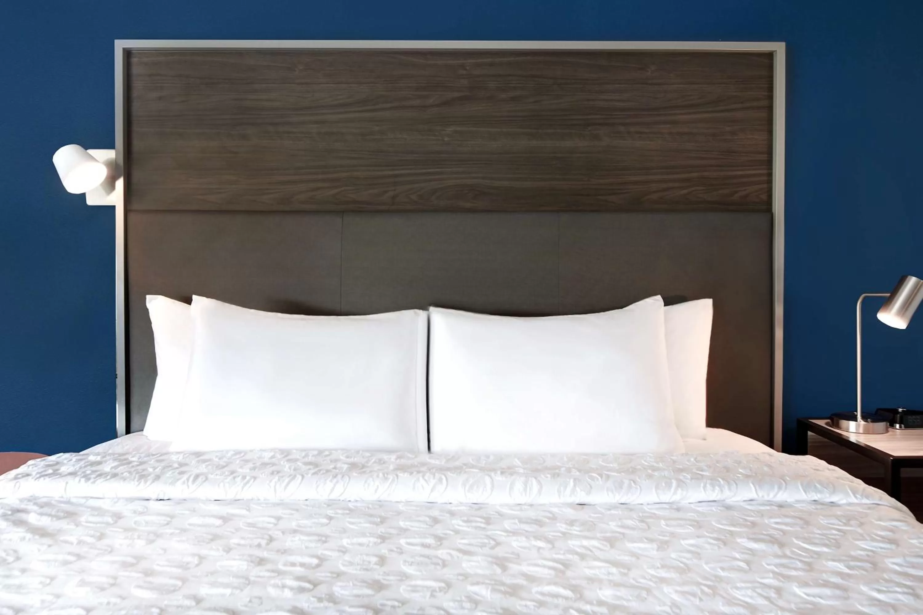 King Room in Tru By Hilton Columbia Greystone