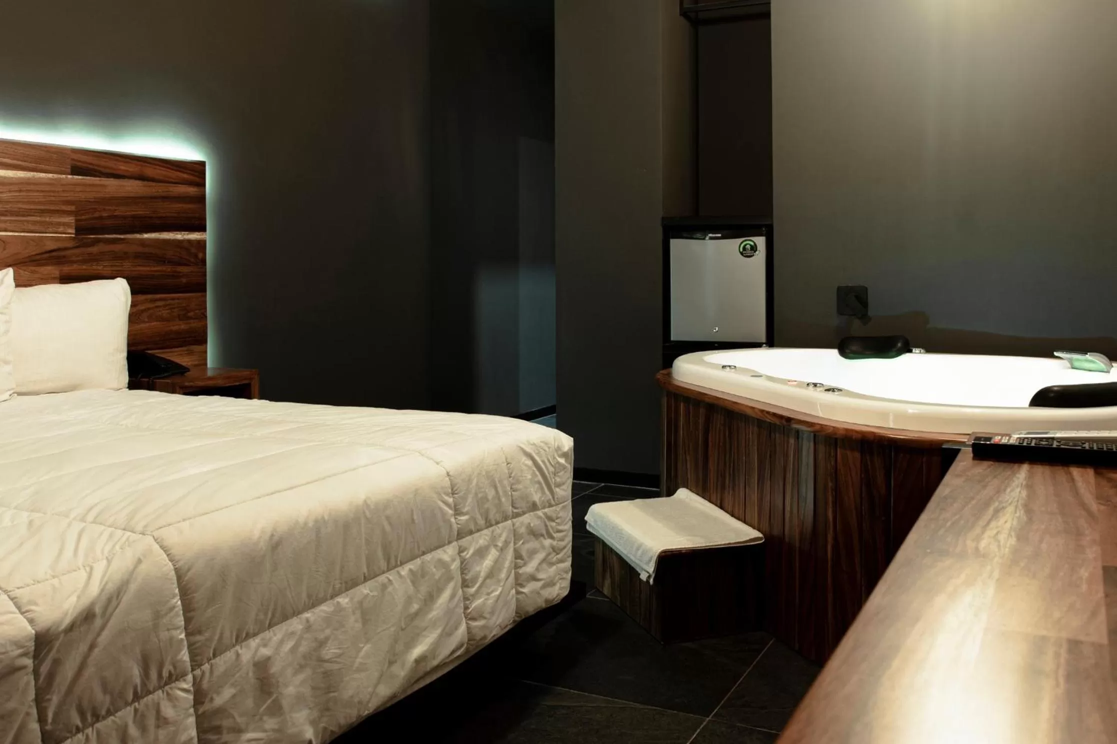 Deluxe Double or Twin Room with Spa Bath in HOTEL RIO RITA