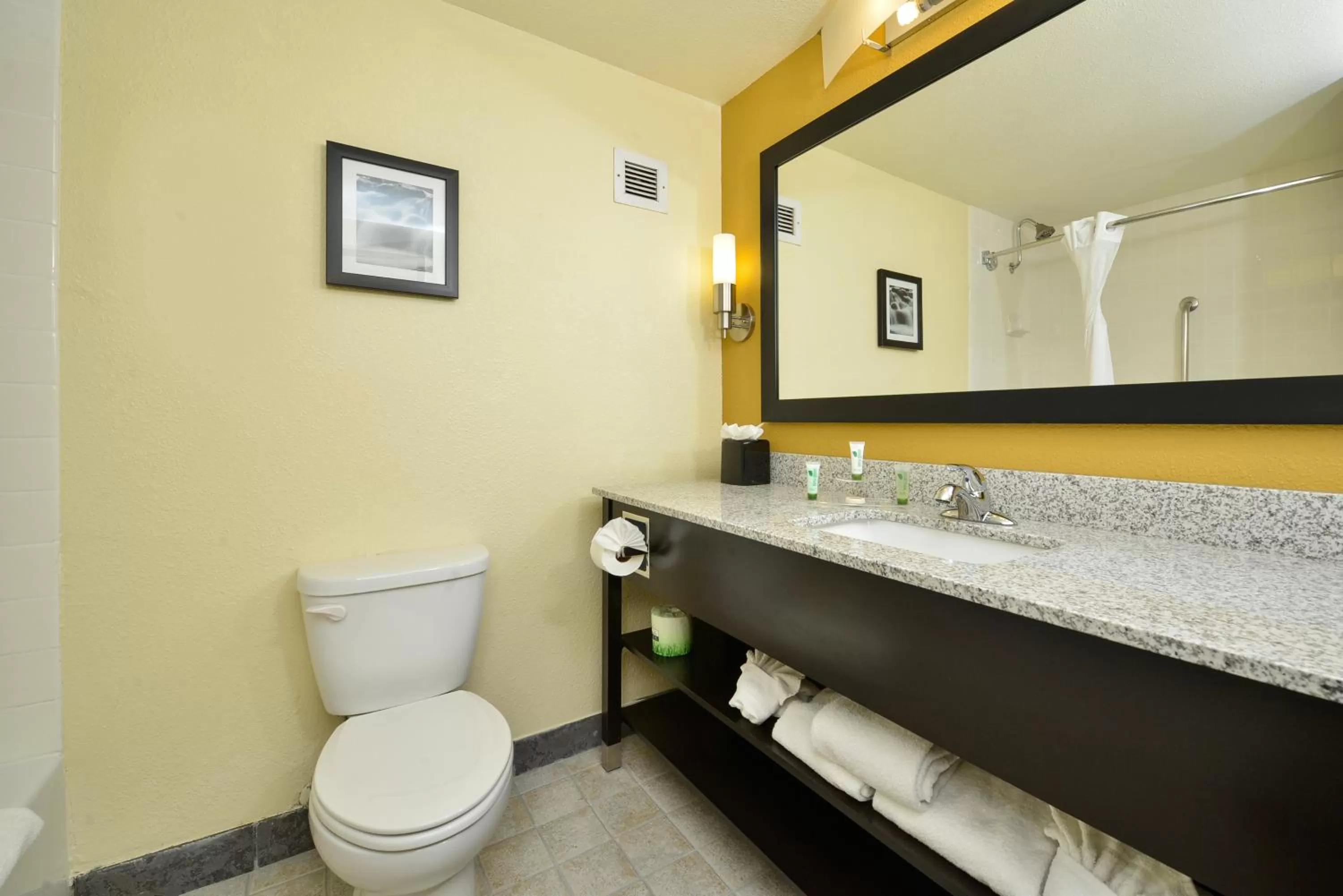 King Room with Sofa Bed - Non-Smoking in Spark by Hilton Denver Tech Center Greenwood Village