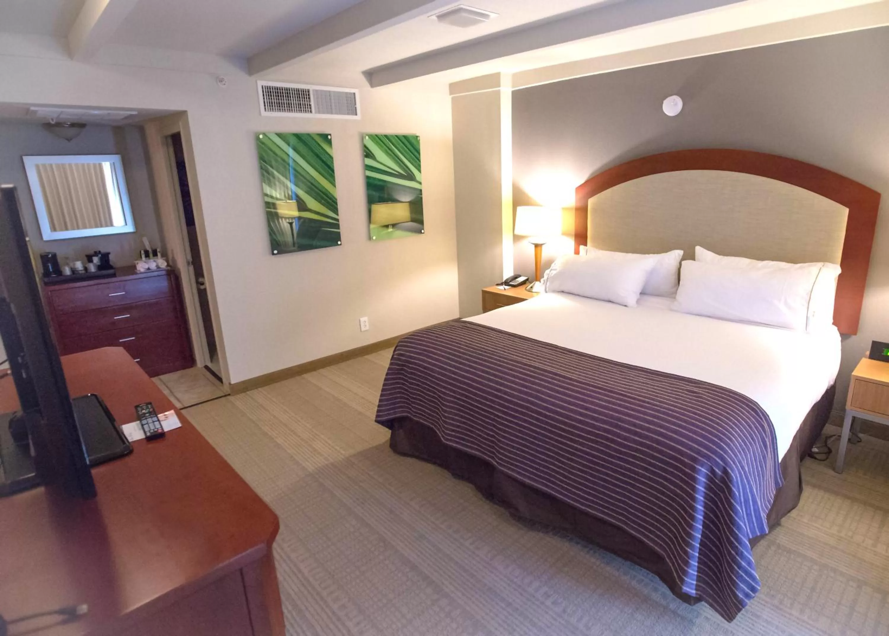 Holiday Inn Express St. Louis Central West End by IHG