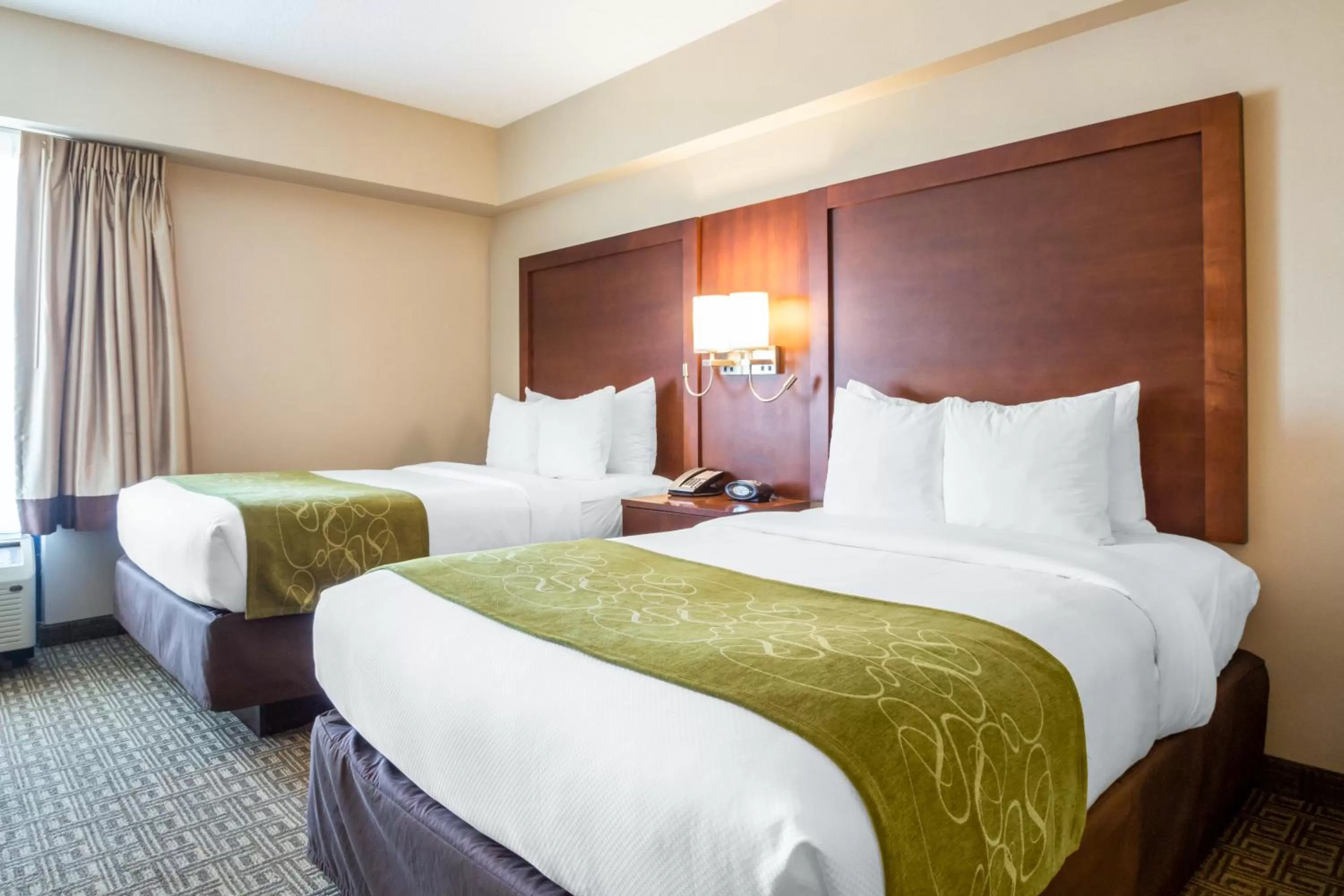 Double Suite - Non-Smoking in Comfort Suites at Woodbridge