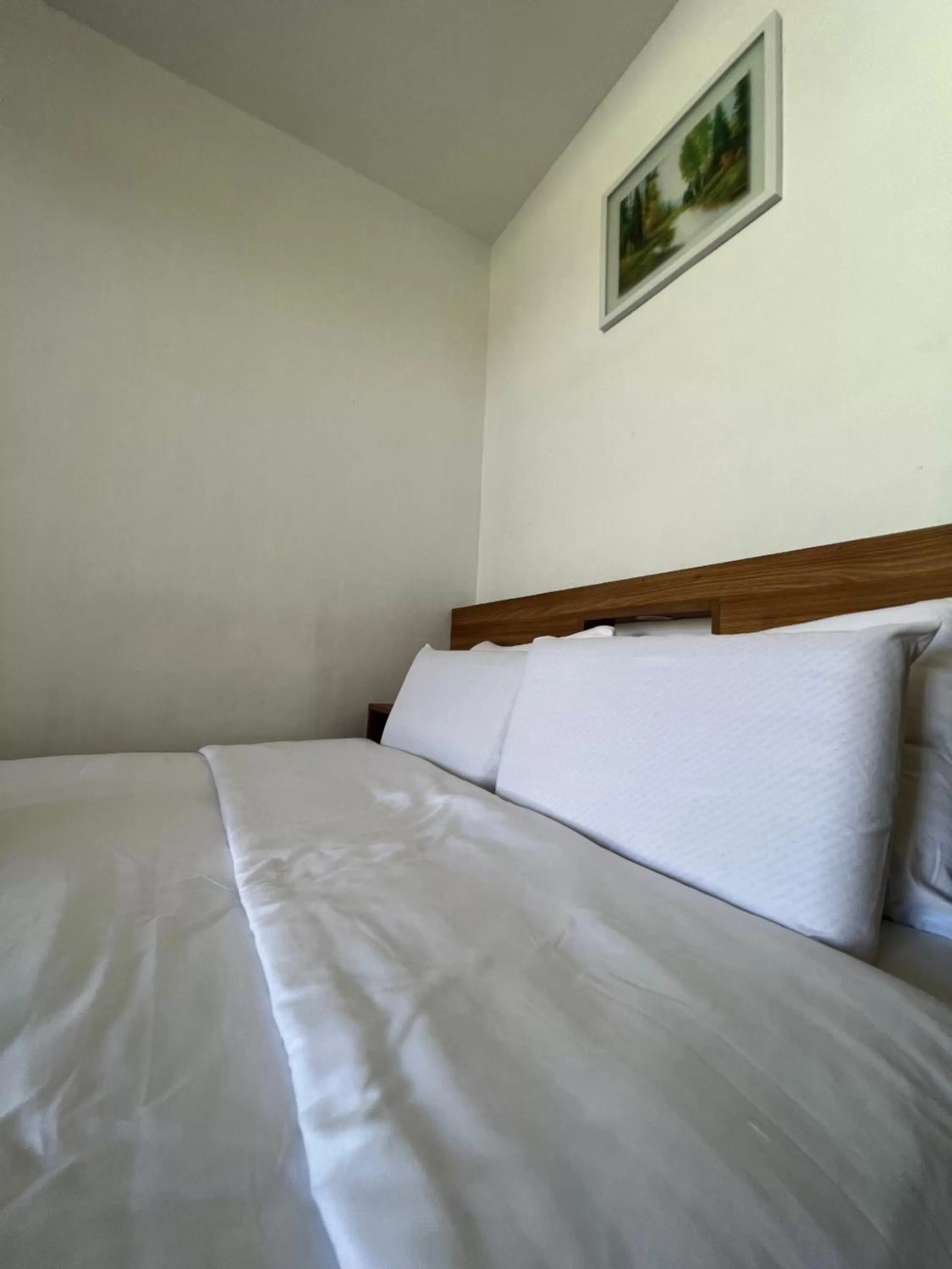 Budget Double Room in Ging-Ging Hotel And Resort