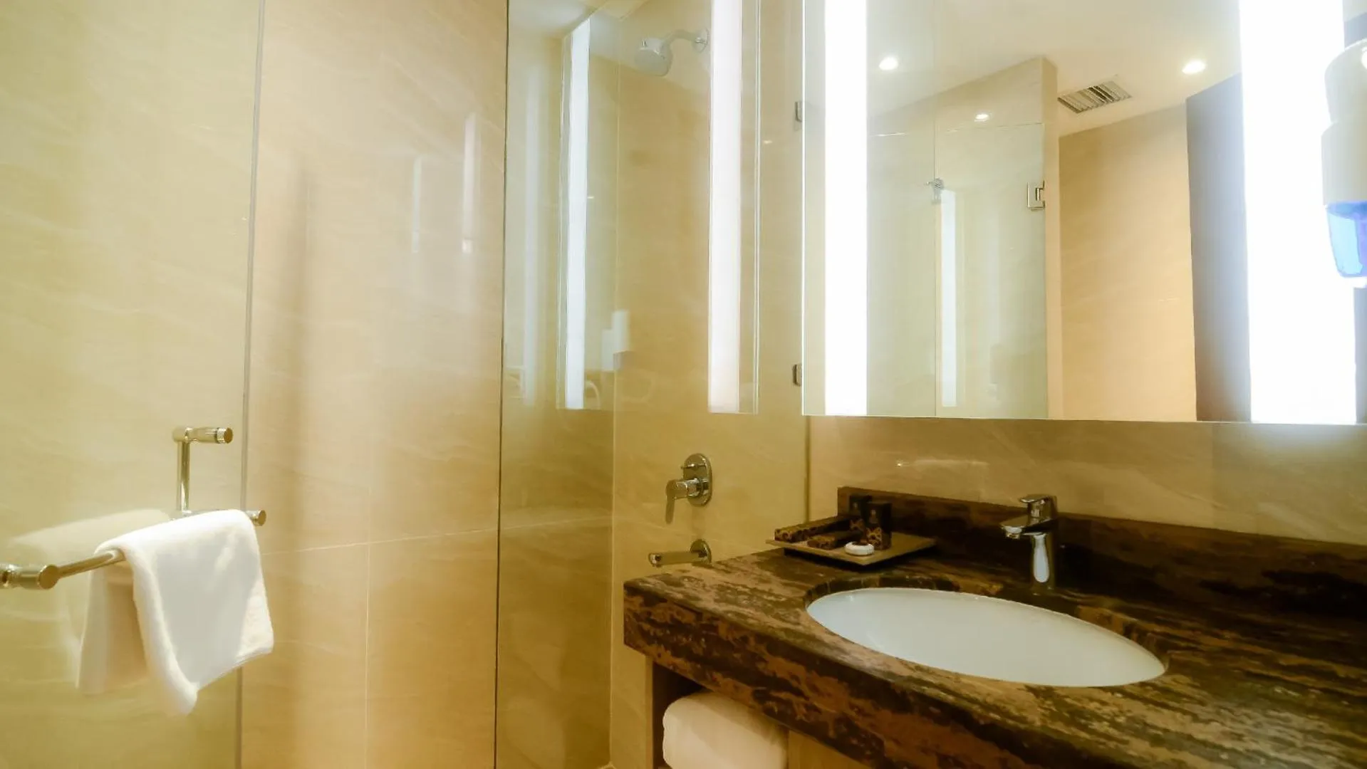 Deluxe Double Room in The Excelton Hotel