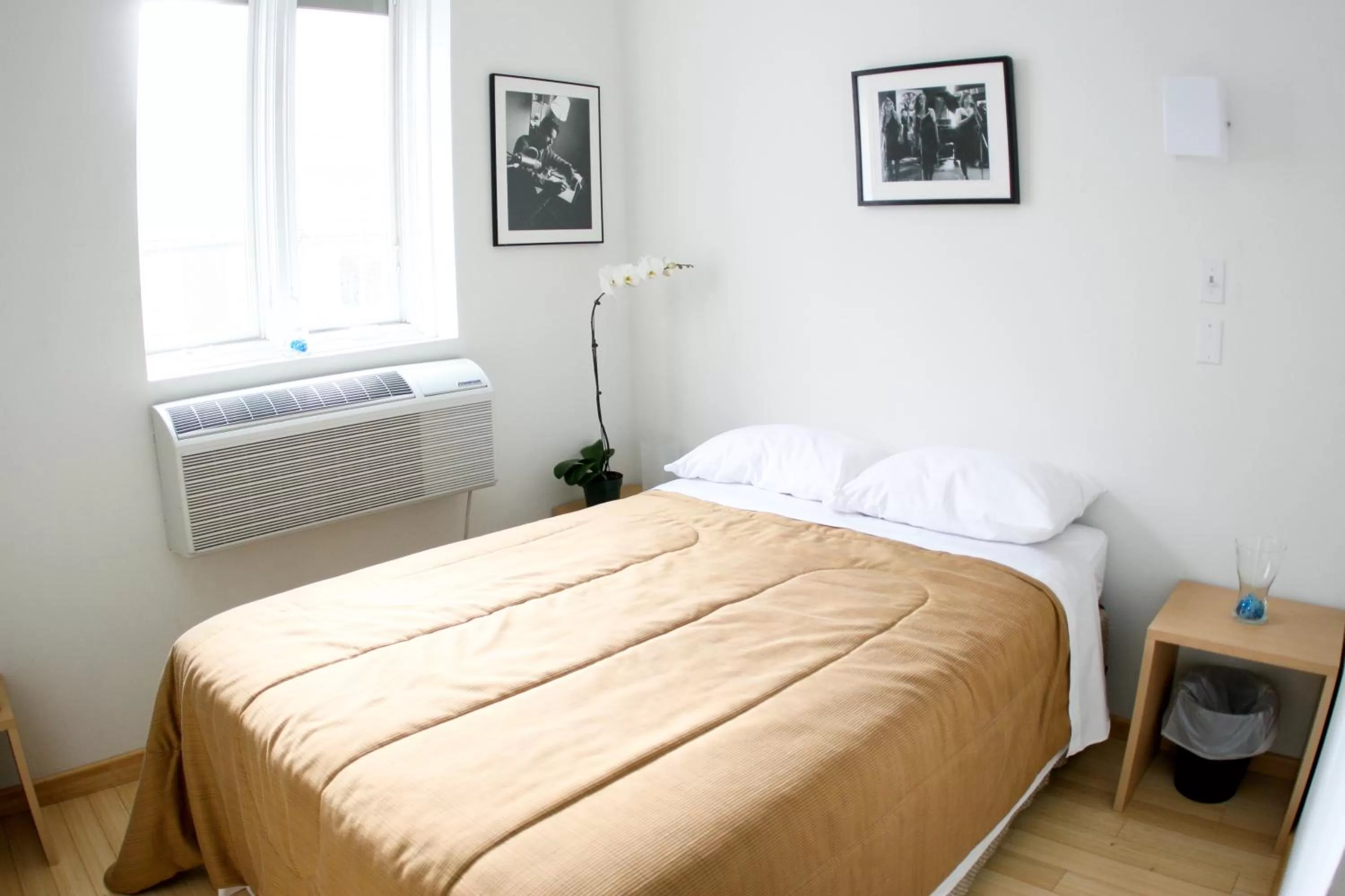 Standard Room with Double Bed and Private Bathroom in The Rex Hotel Jazz & Blues Bar