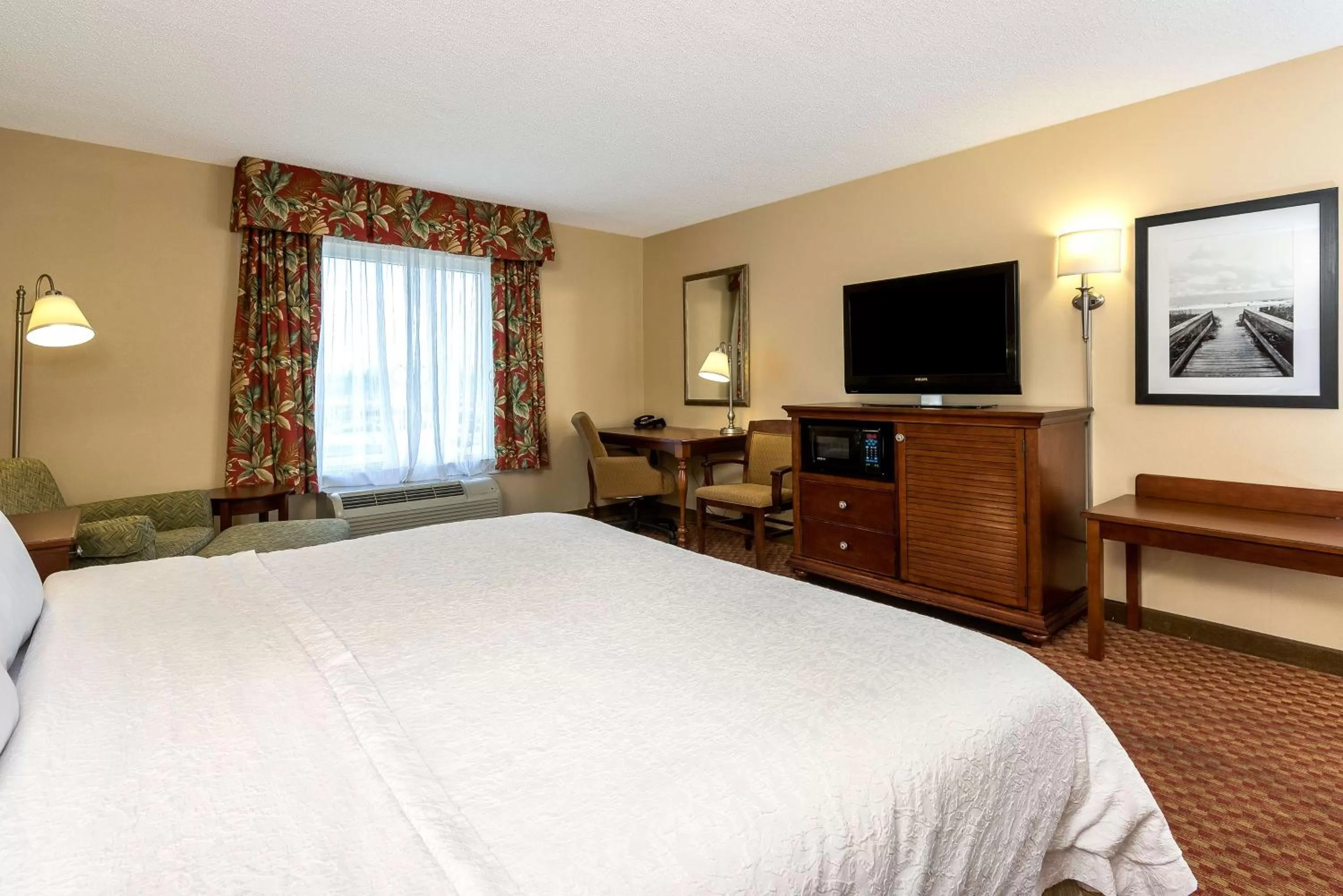 King Room with King Bed - Non-Smoking in Hampton Inn & Suites Florence-North-I-95