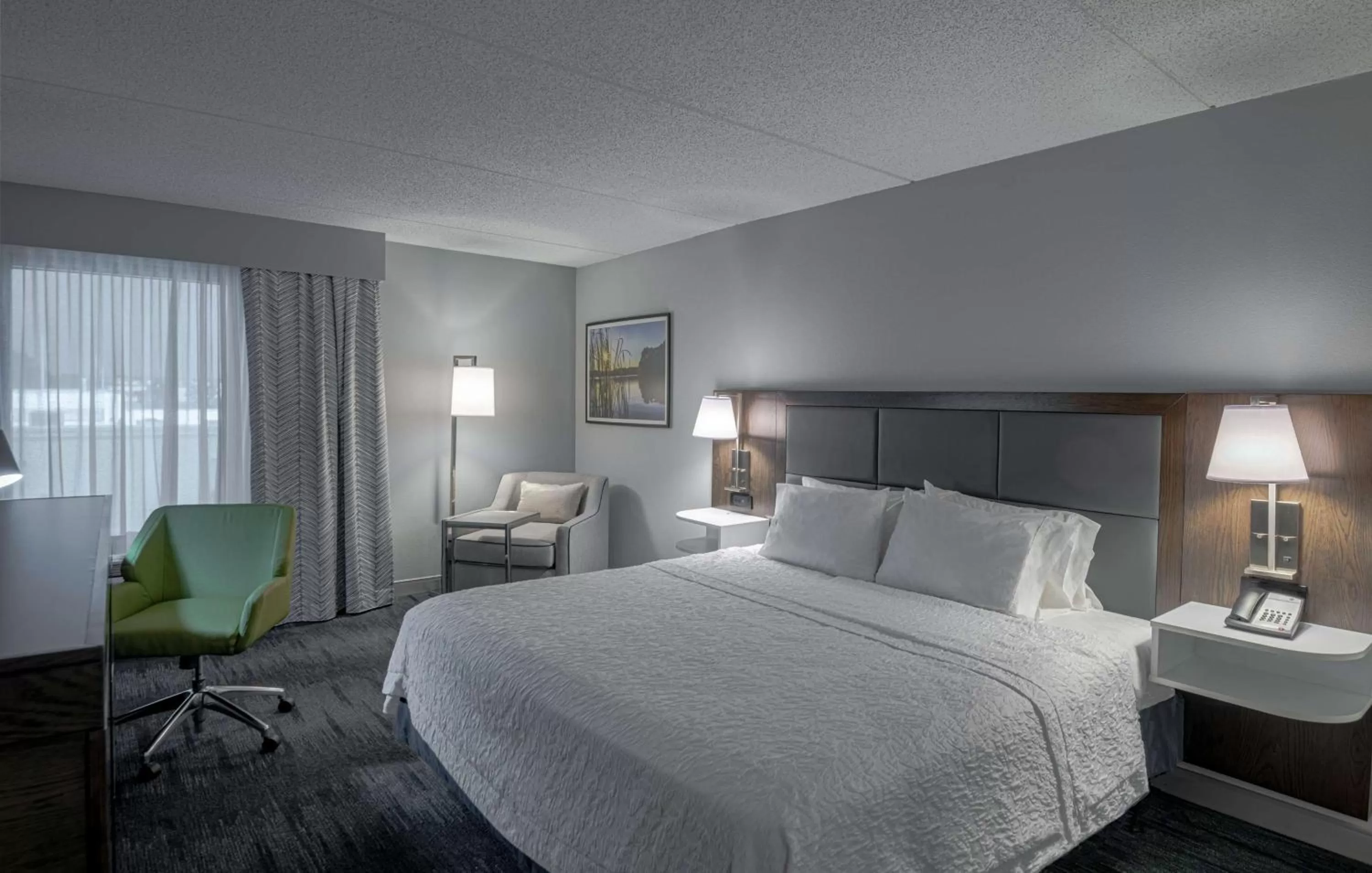 King Room - Mobility/Hearing Accessible in Hampton Inn Waldorf