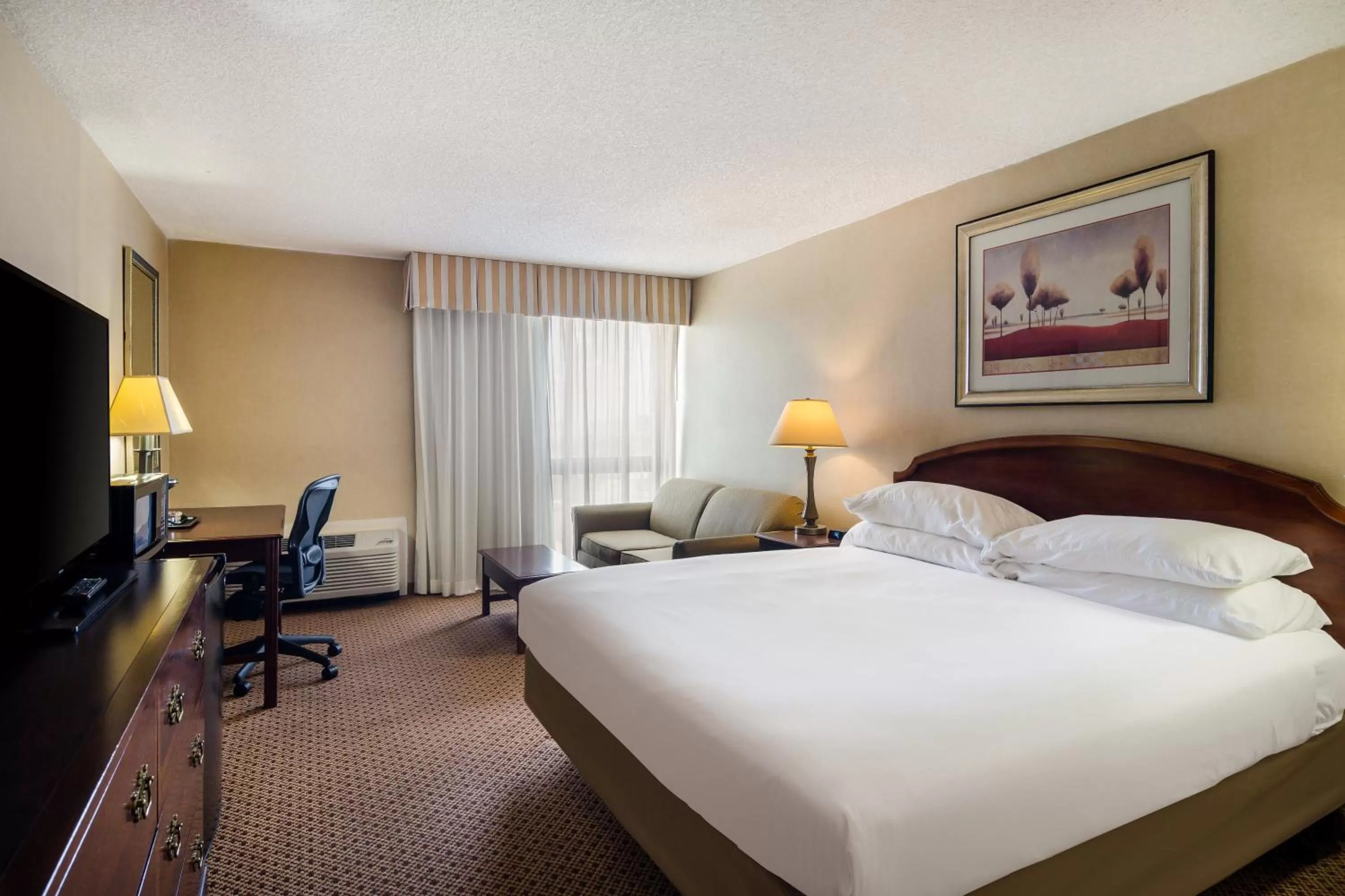 Accessible King Bed Roll-In Shower in Red Lion Hotel Cheyenne