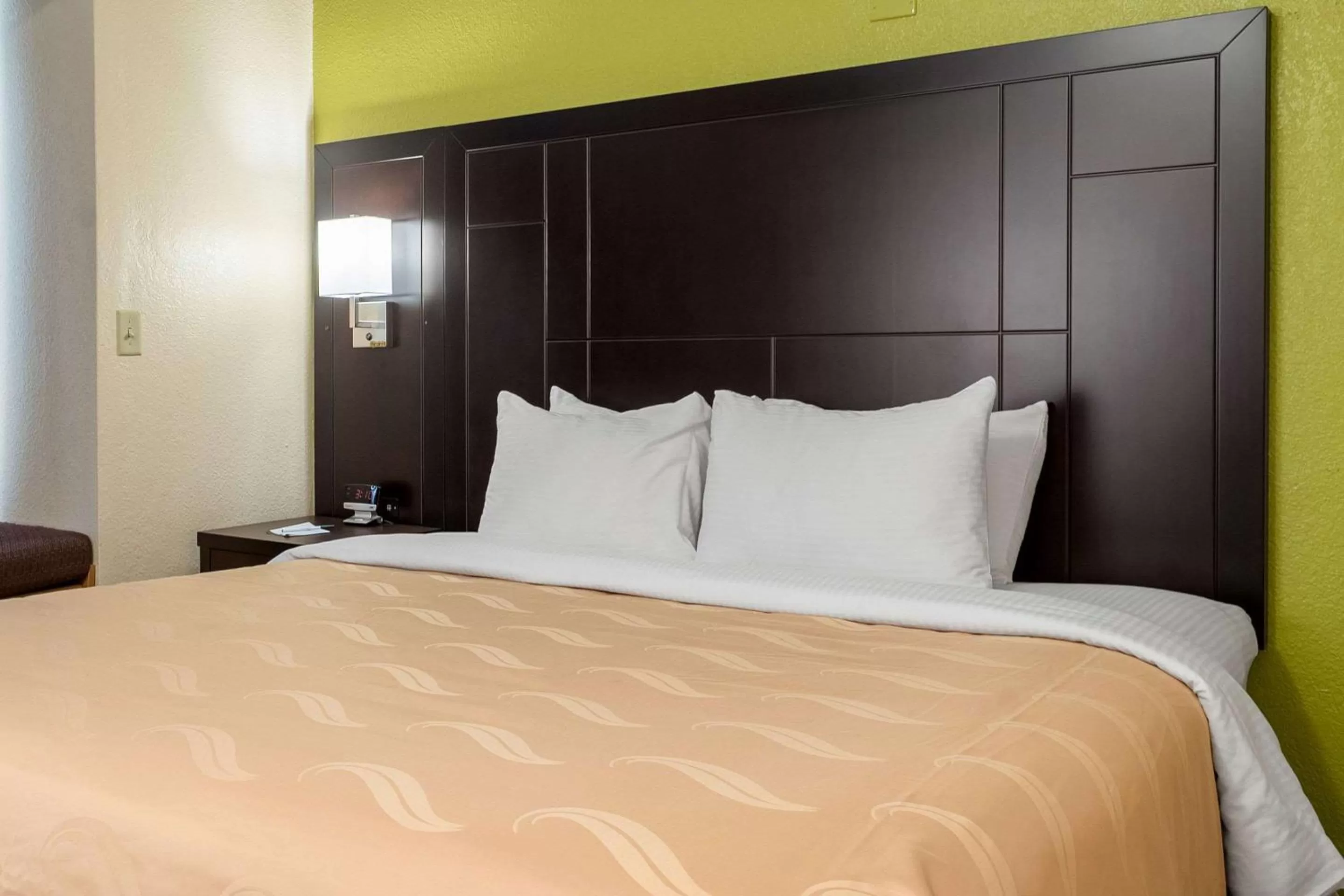 King Room - Non-Smoking in Quality Inn & Suites Robbinsville