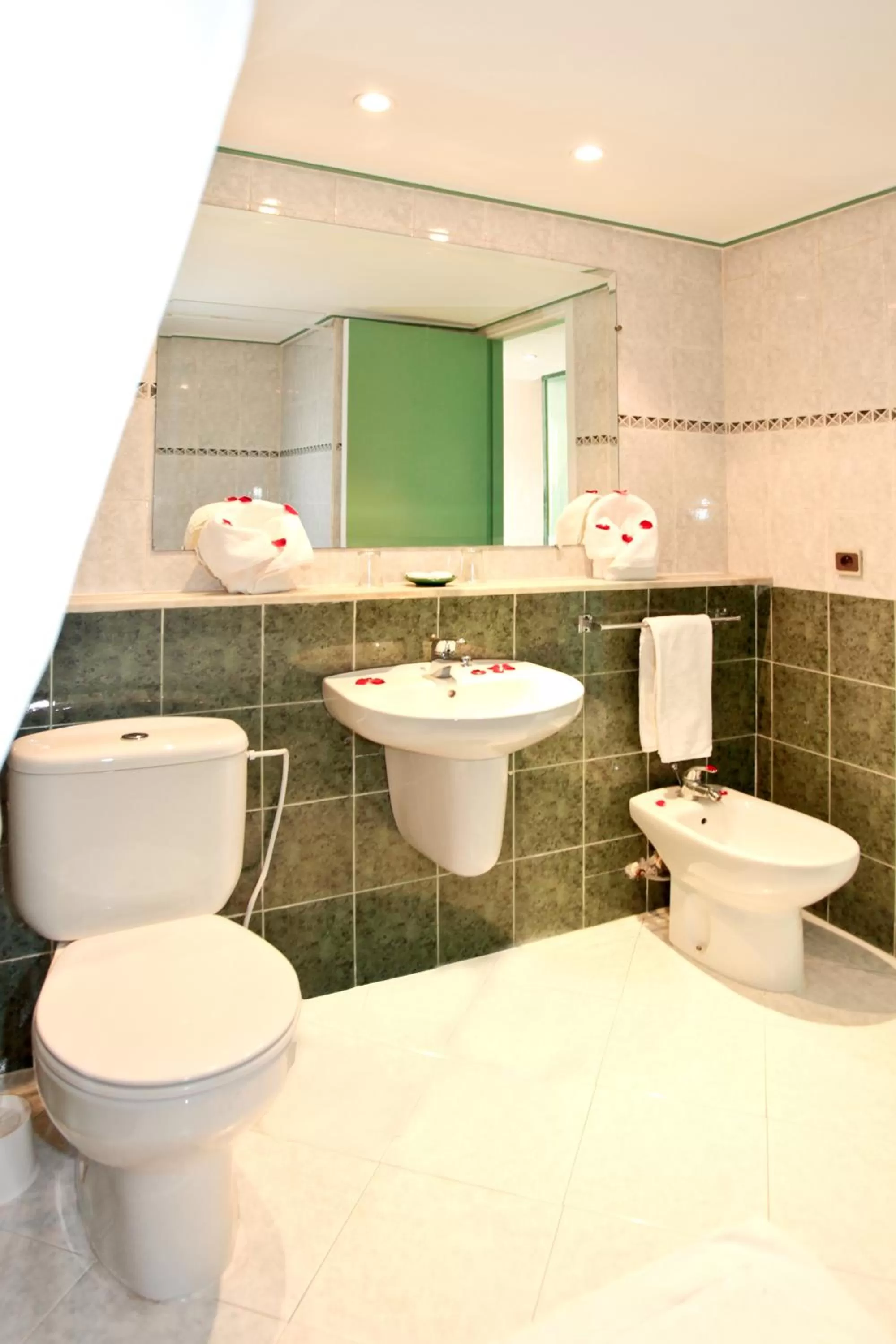 Standard Double Room with Pool View in Chems Hotel