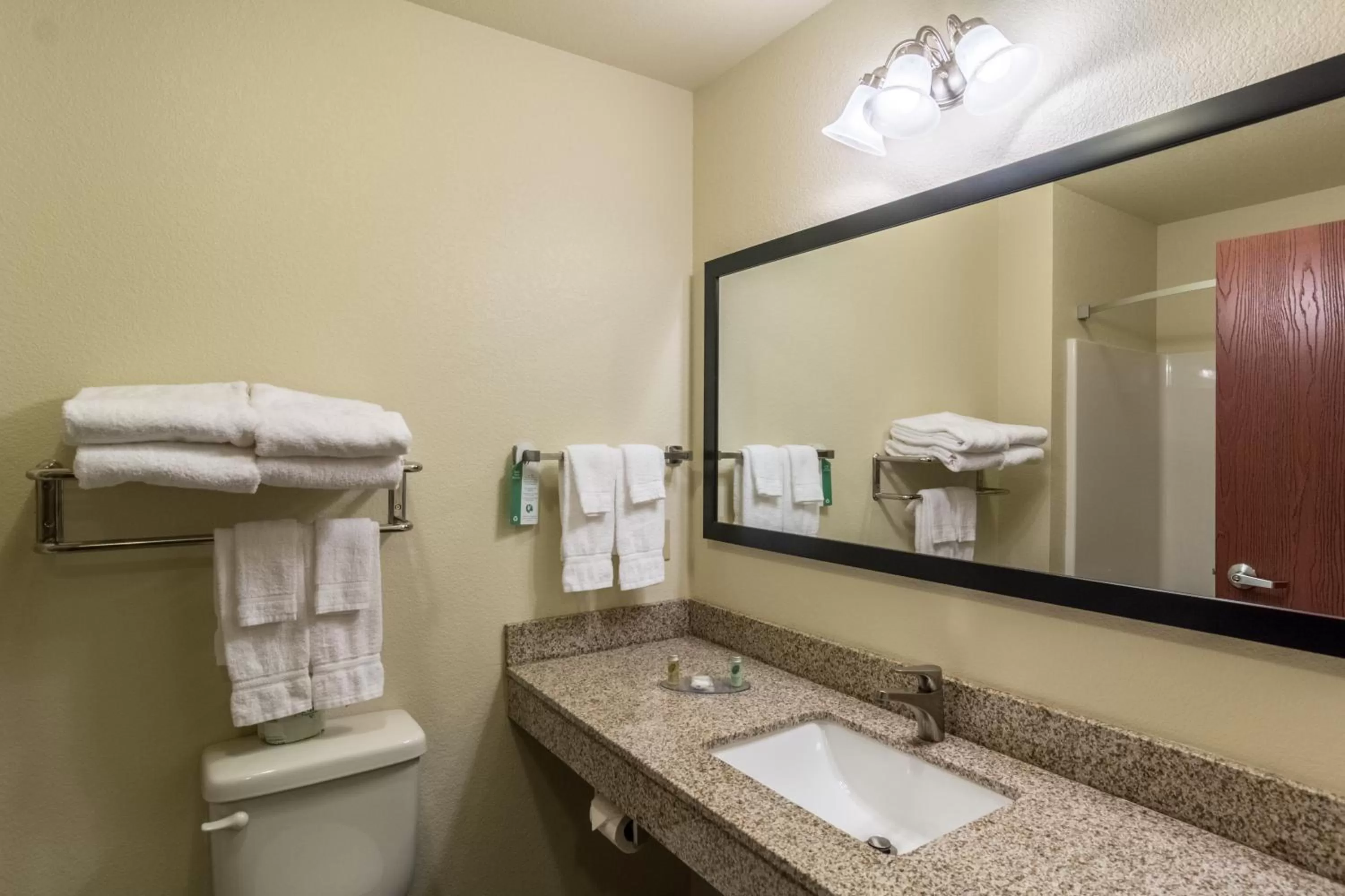 Queen Studio - Disability Access in Cobblestone Hotel & Suites - Torrington