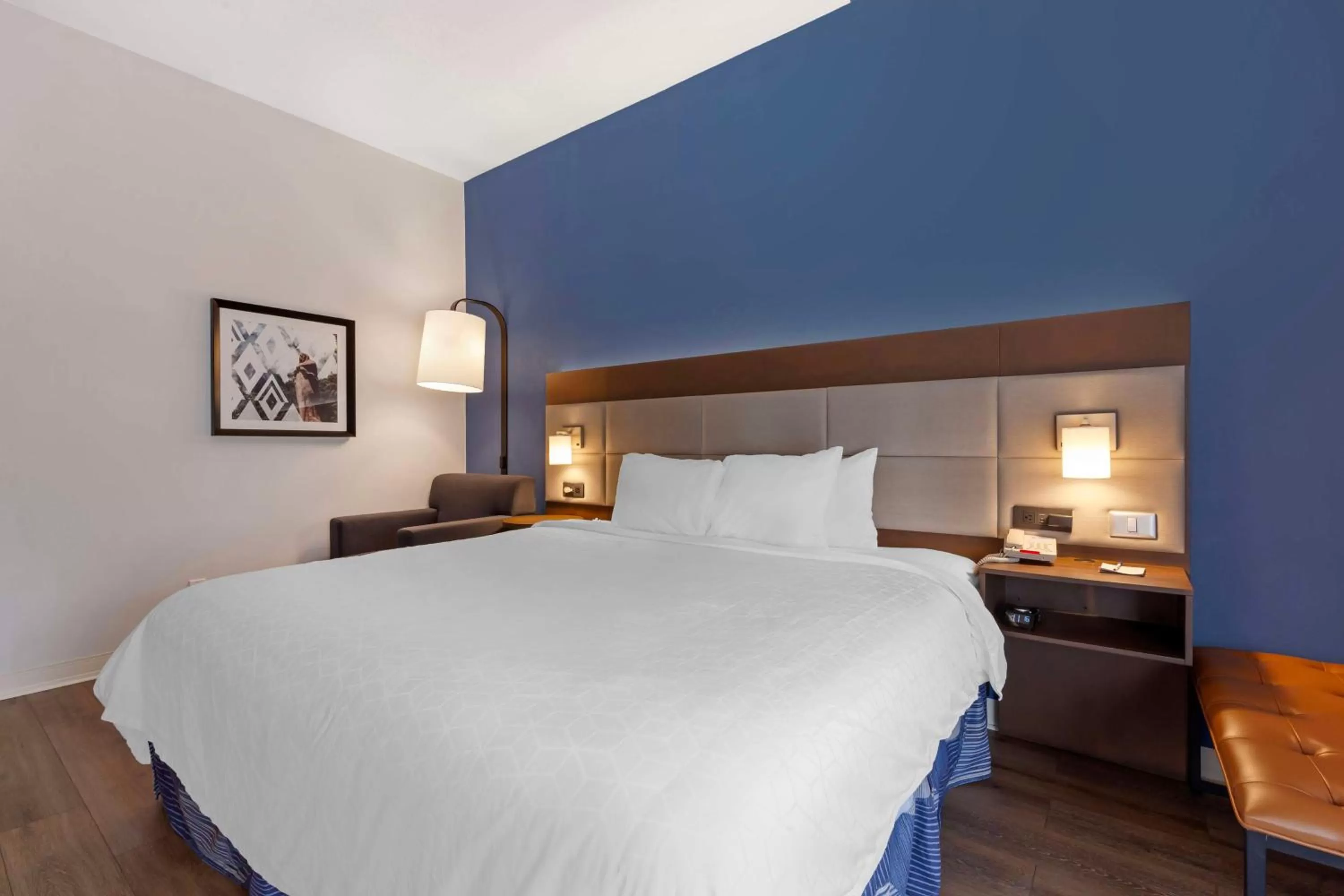 King Room - Disability Access in Best Western Sycamore Inn