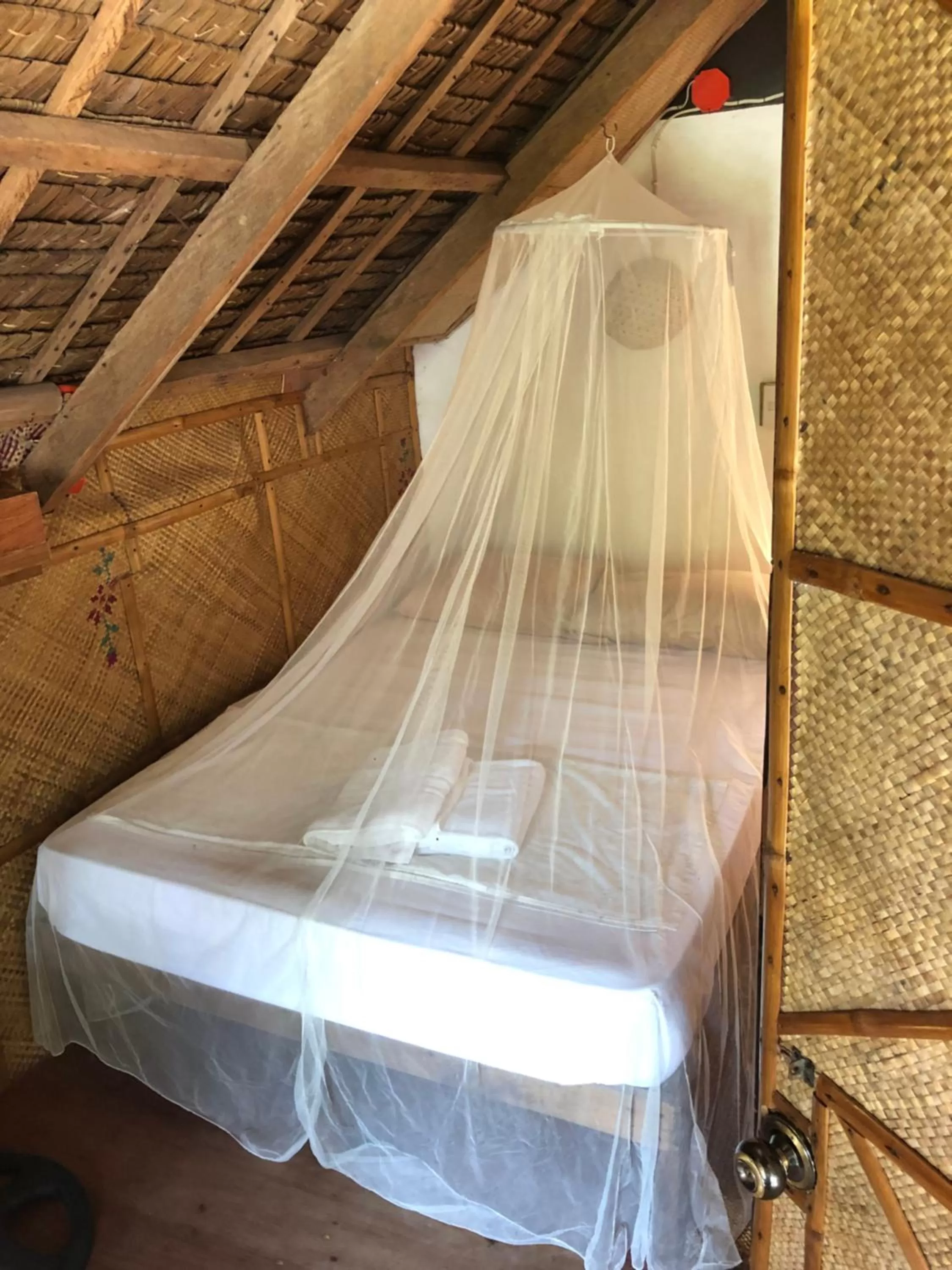 Tree House - single occupancy in Amami Beach Resort