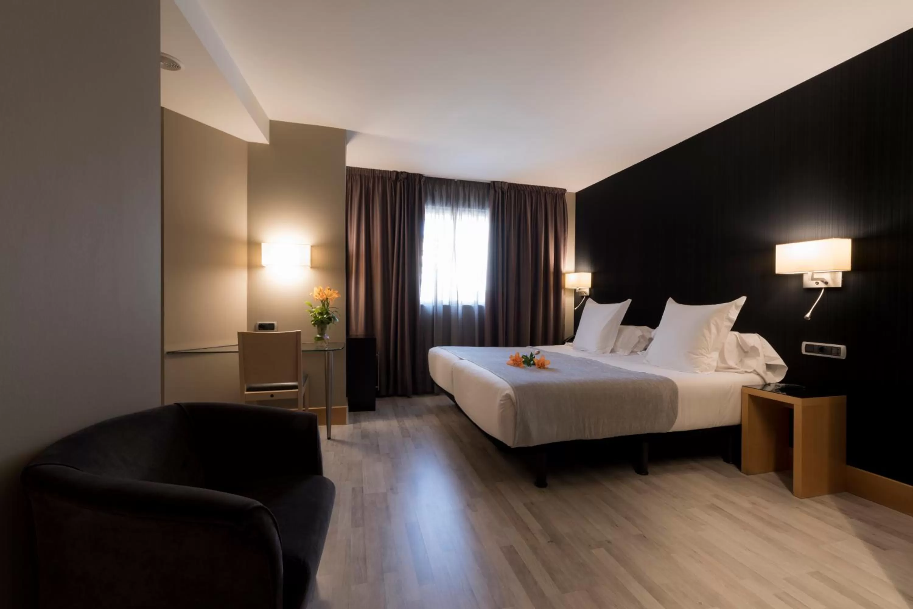 Double or Twin Room in Hotel Plaza